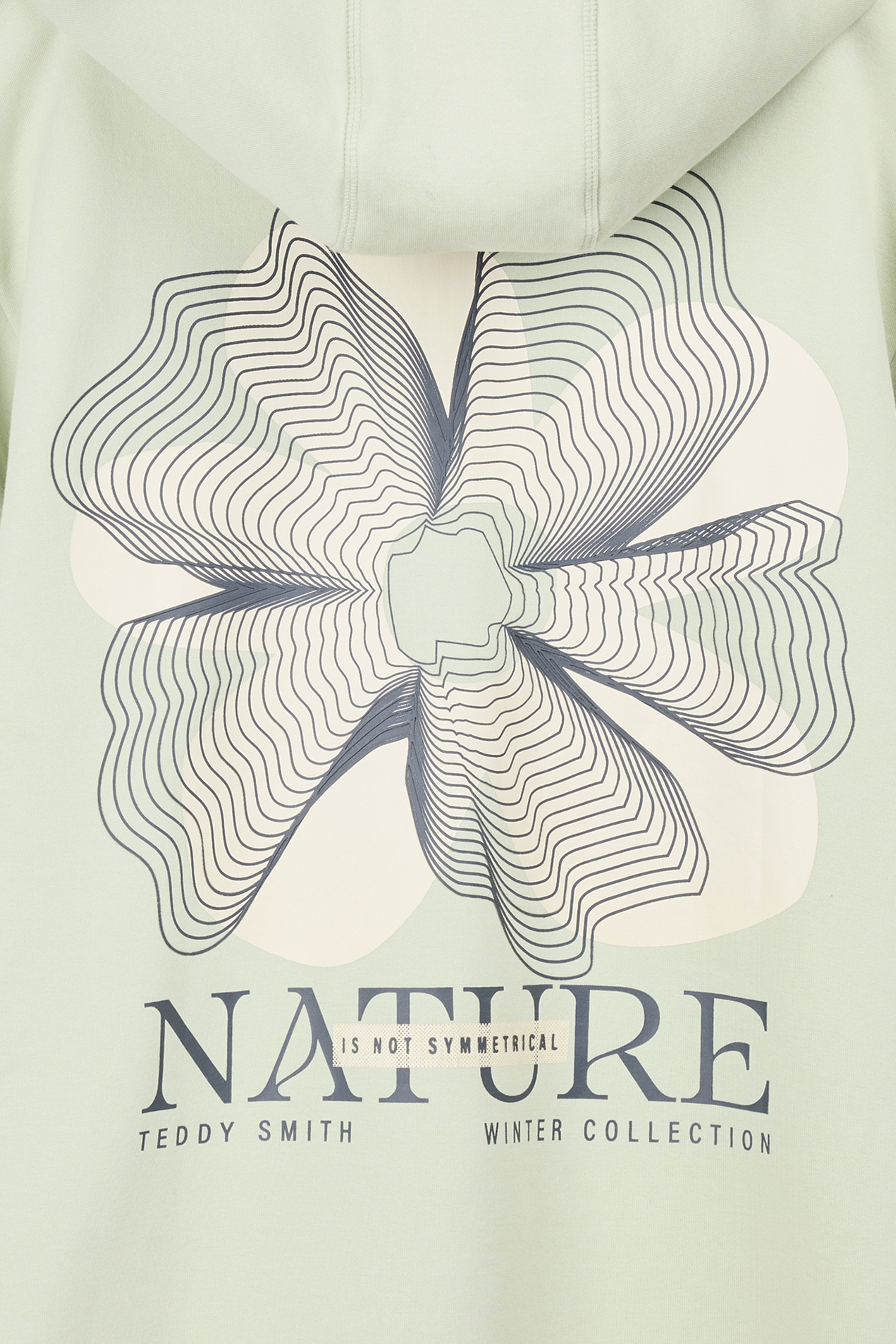 Teddy Smith S-Nature Hoody Vert Nacre sweat capuche coton