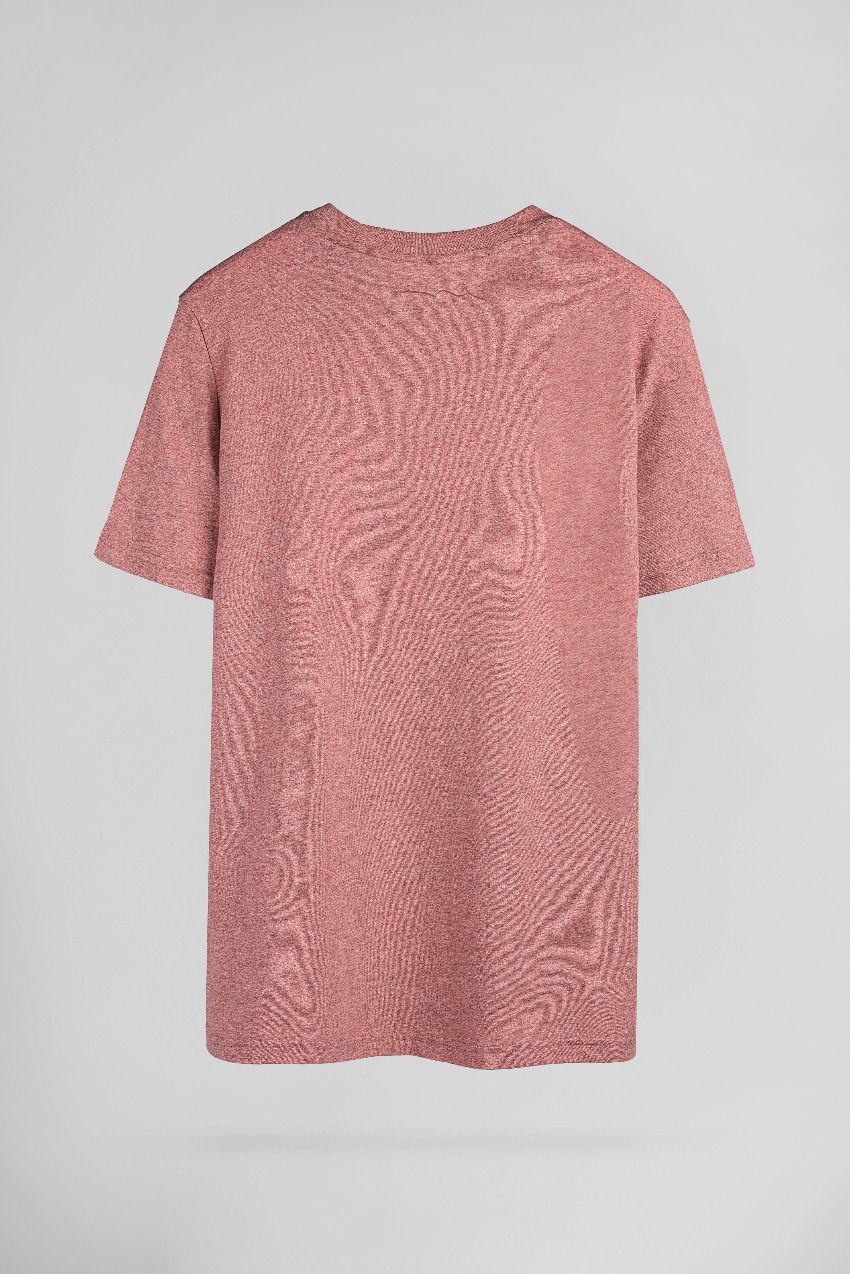 Teddy Smith T-Narvik MC Red Label Grindle t-shirt homme chine