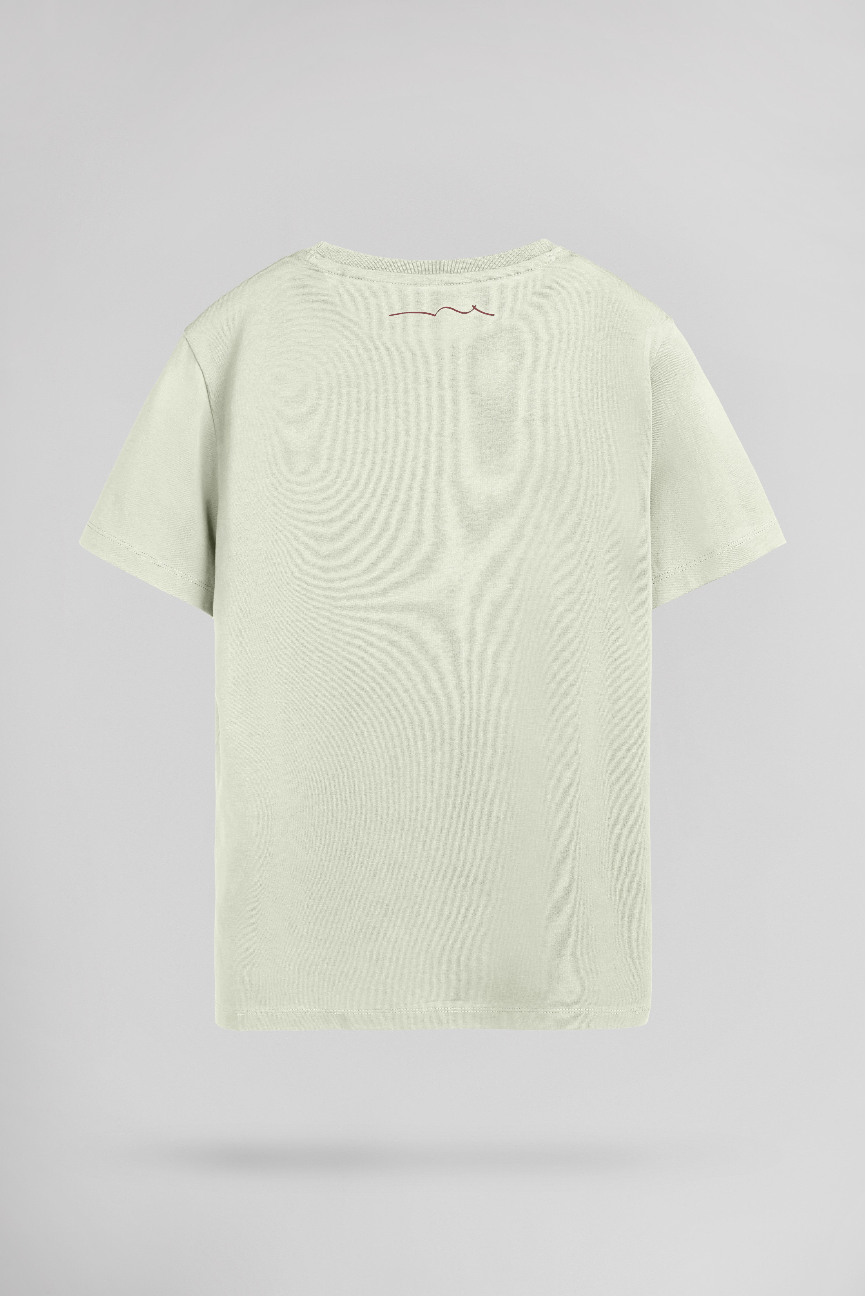 Teddy Smith T-Evan MC JR t-shirt vert nacré garçon