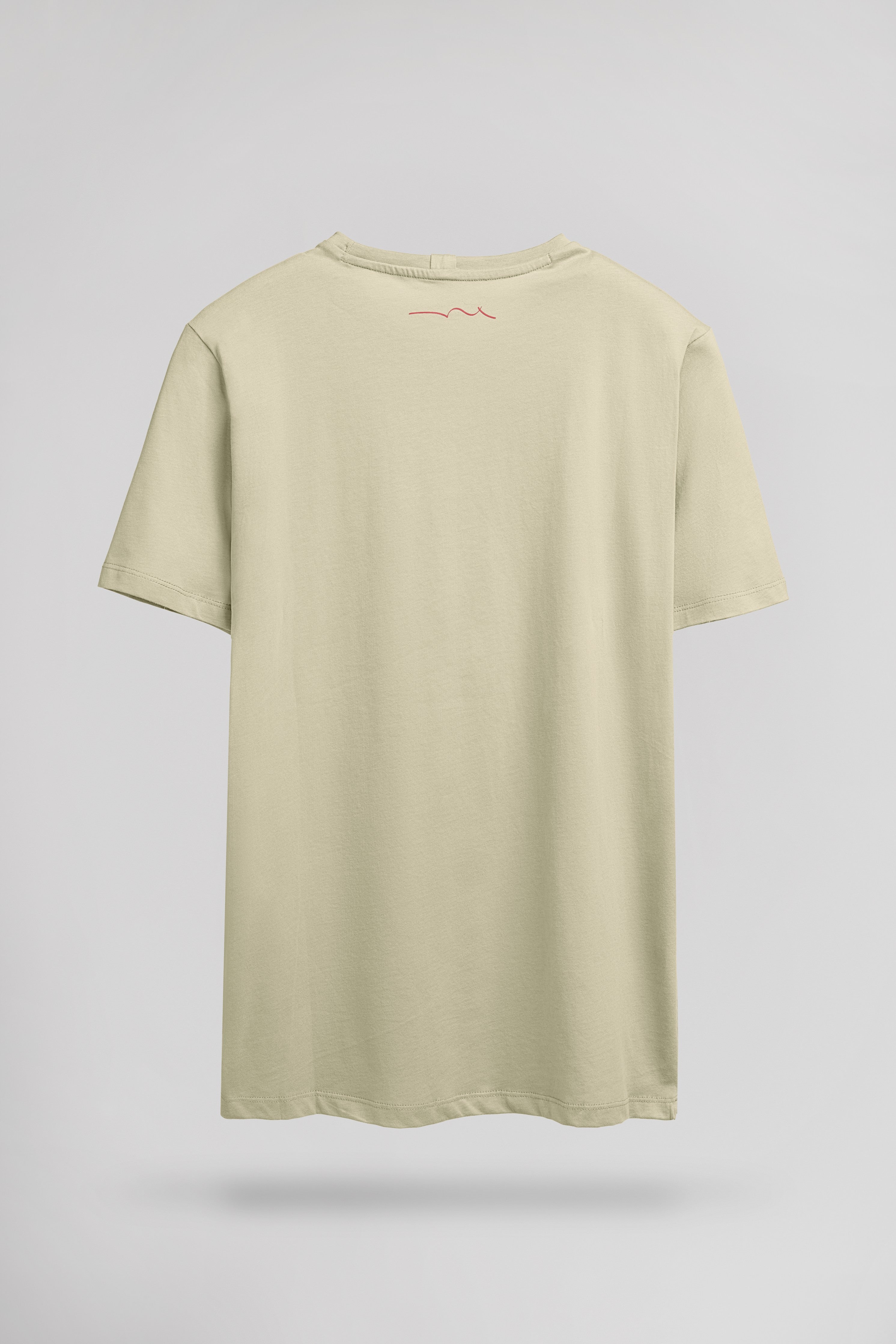 Teddy Smith T-Soy 2 t-shirt vert sauge homme