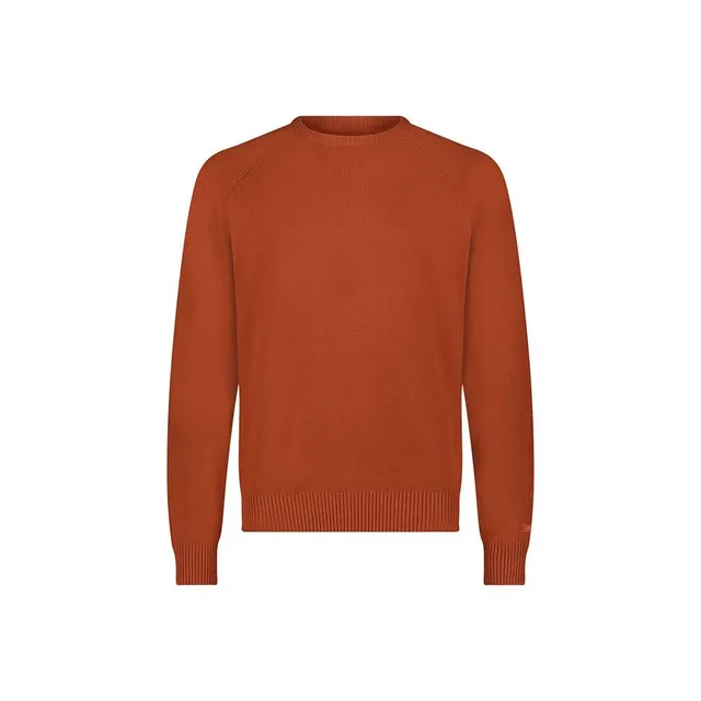 Lee Clean Raglan pull homme Sweet Maple coupe regular