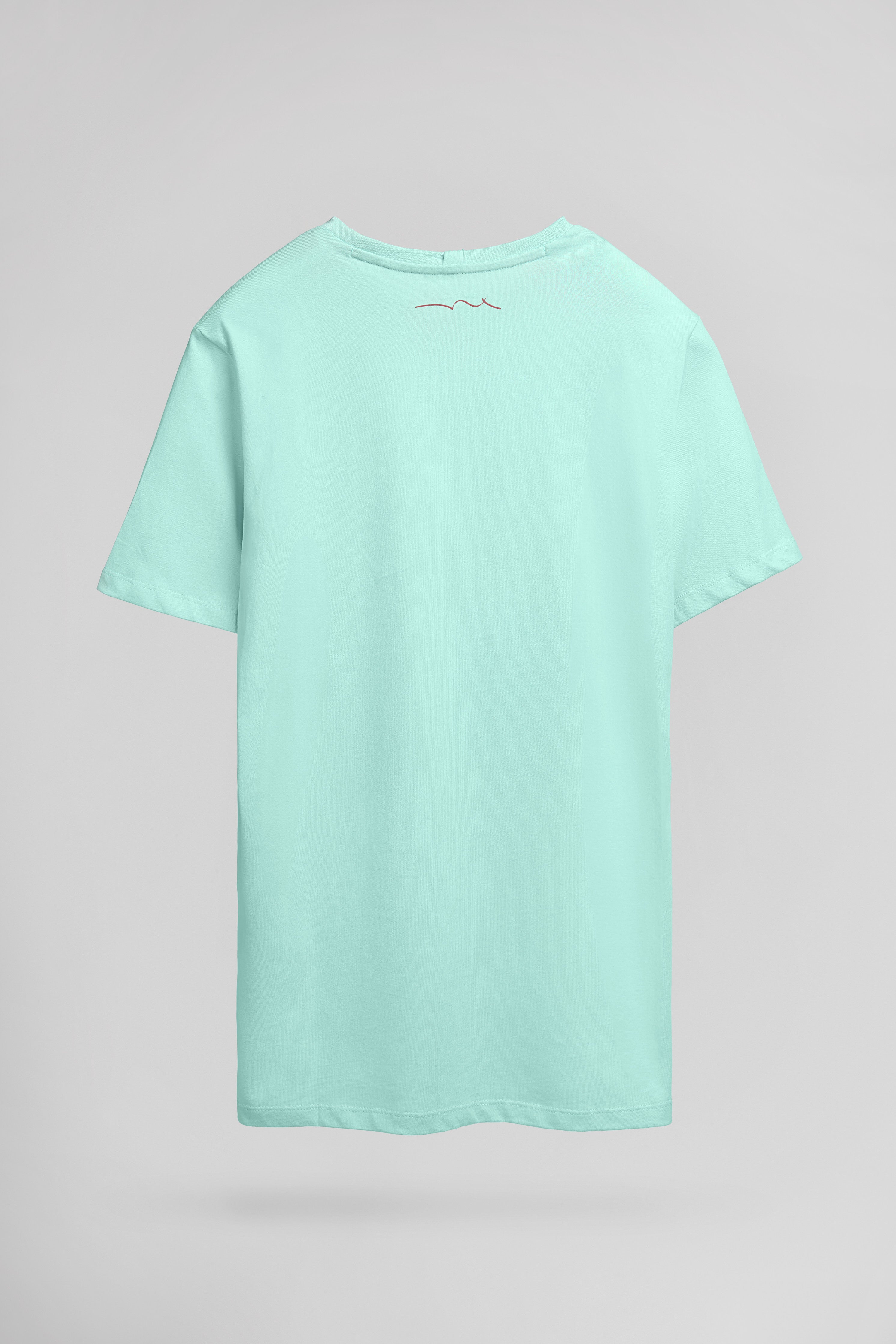 Teddy Smith T-Soy 2 MC t-shirt vert menthe homme coton