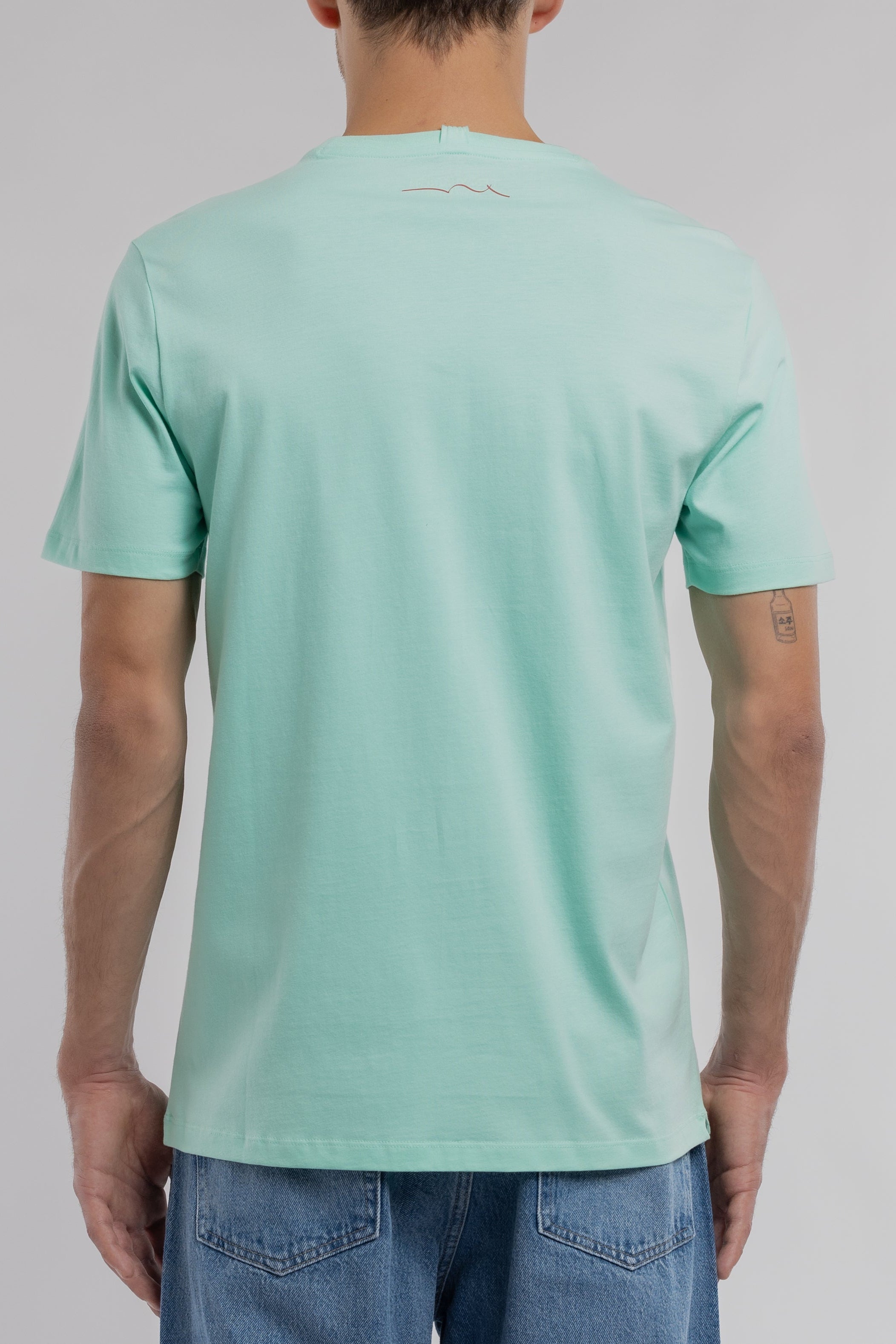 Teddy Smith T-Soy 2 MC t-shirt vert menthe homme coton