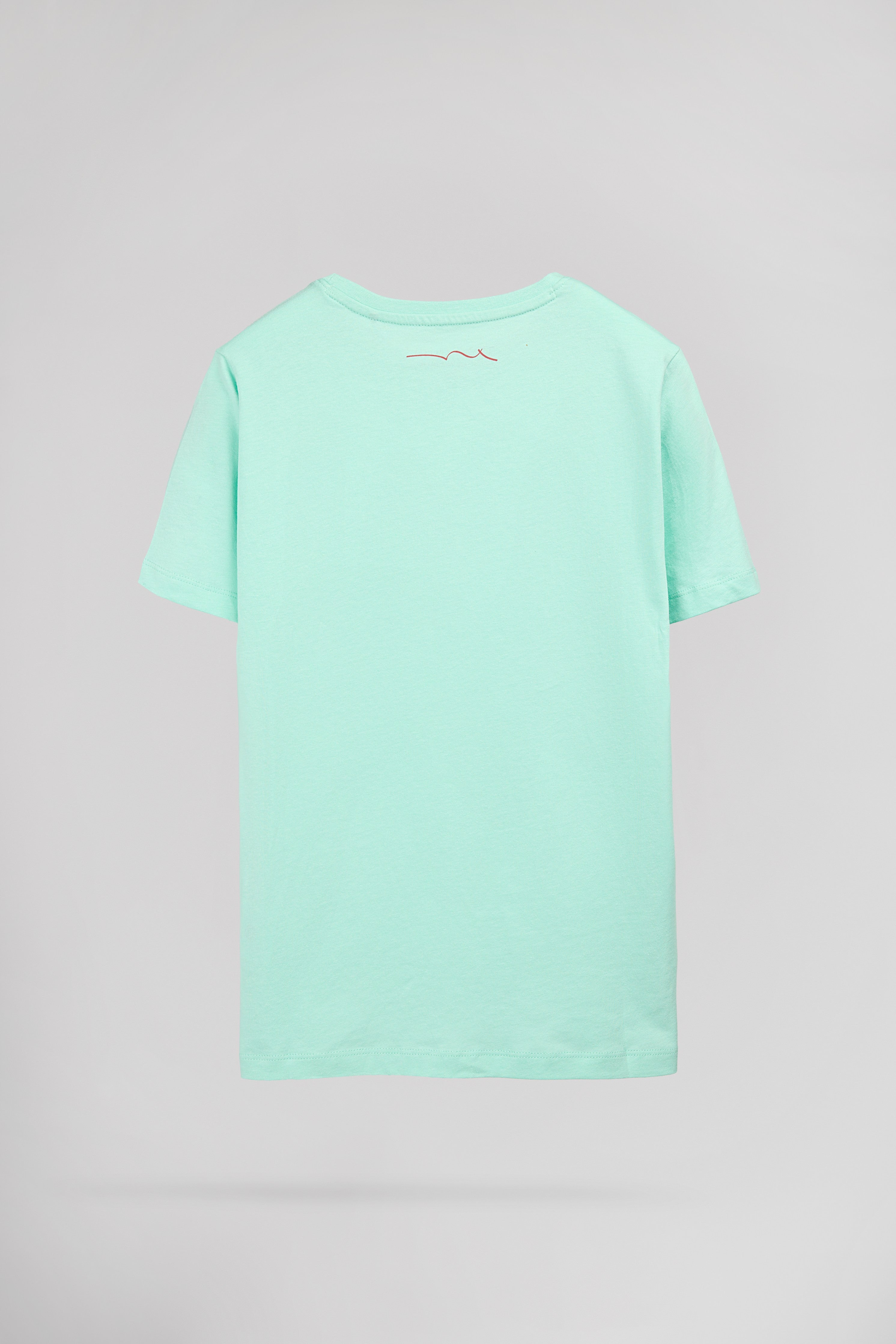 Teddy Smith T-Evan MC Jr t-shirt vert menthe garçon coton