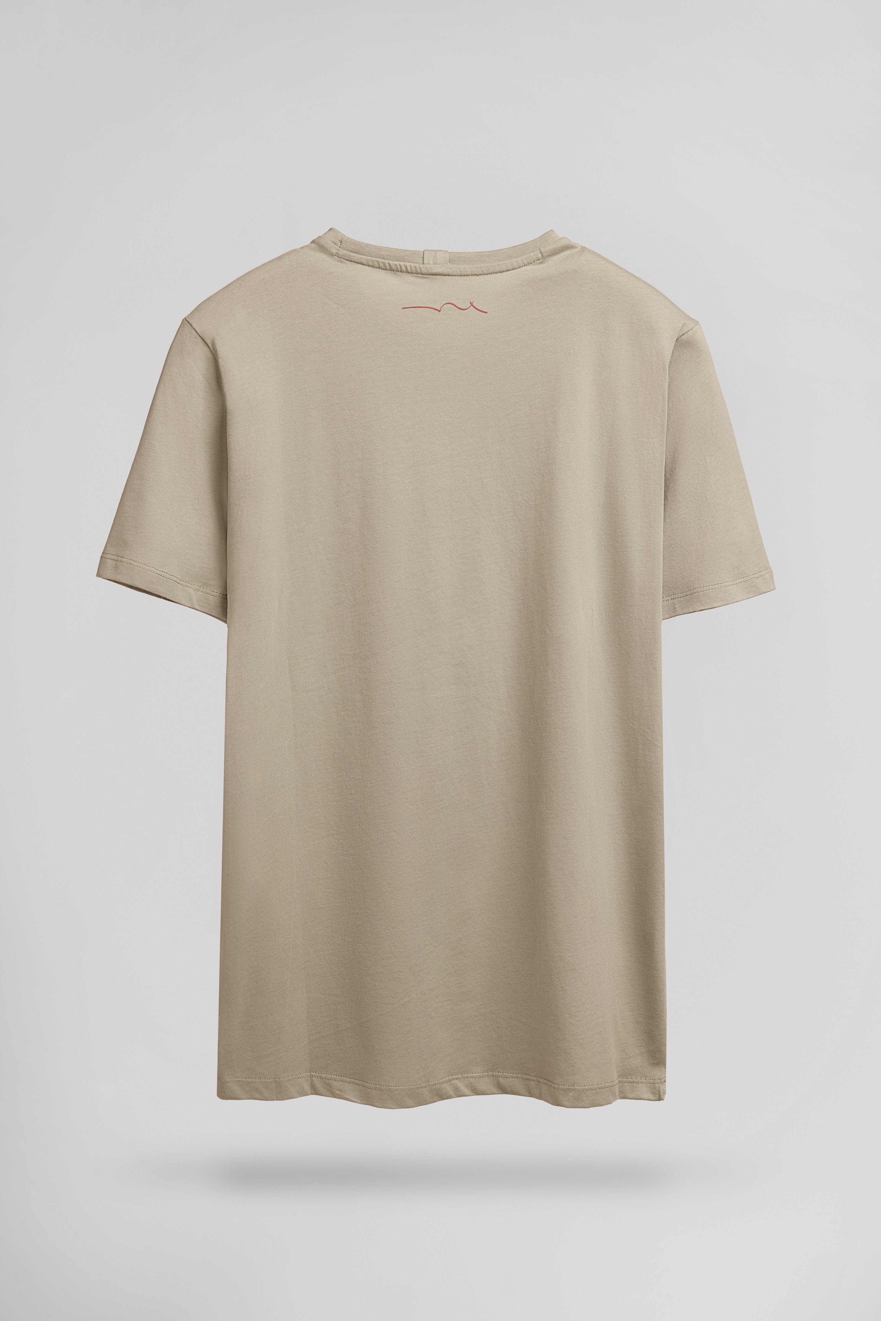 Teddy Smith T-Soy 2 T-shirt homme kaki uni coton