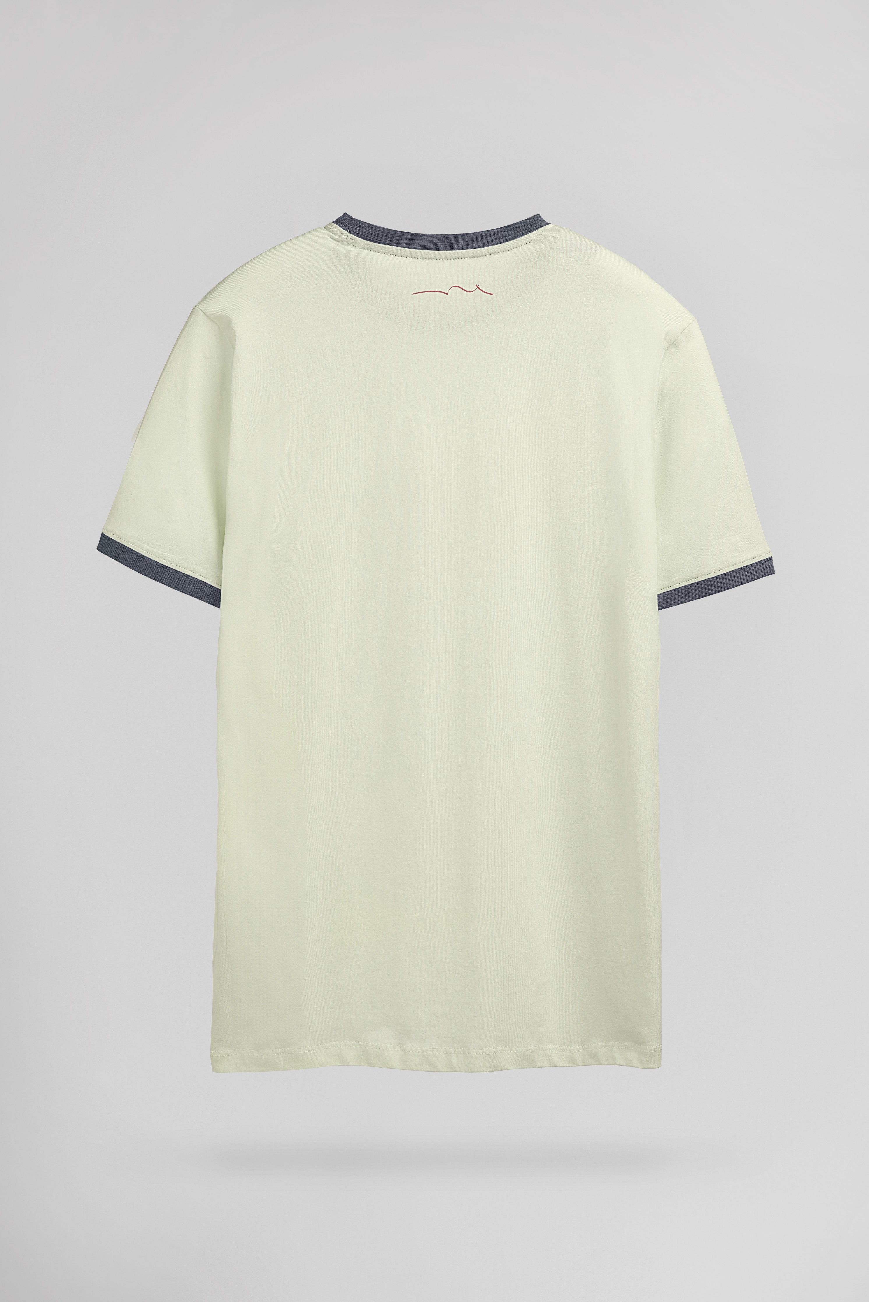 Teddy Smith The-Tee 2 R t-shirt vert nacré coton