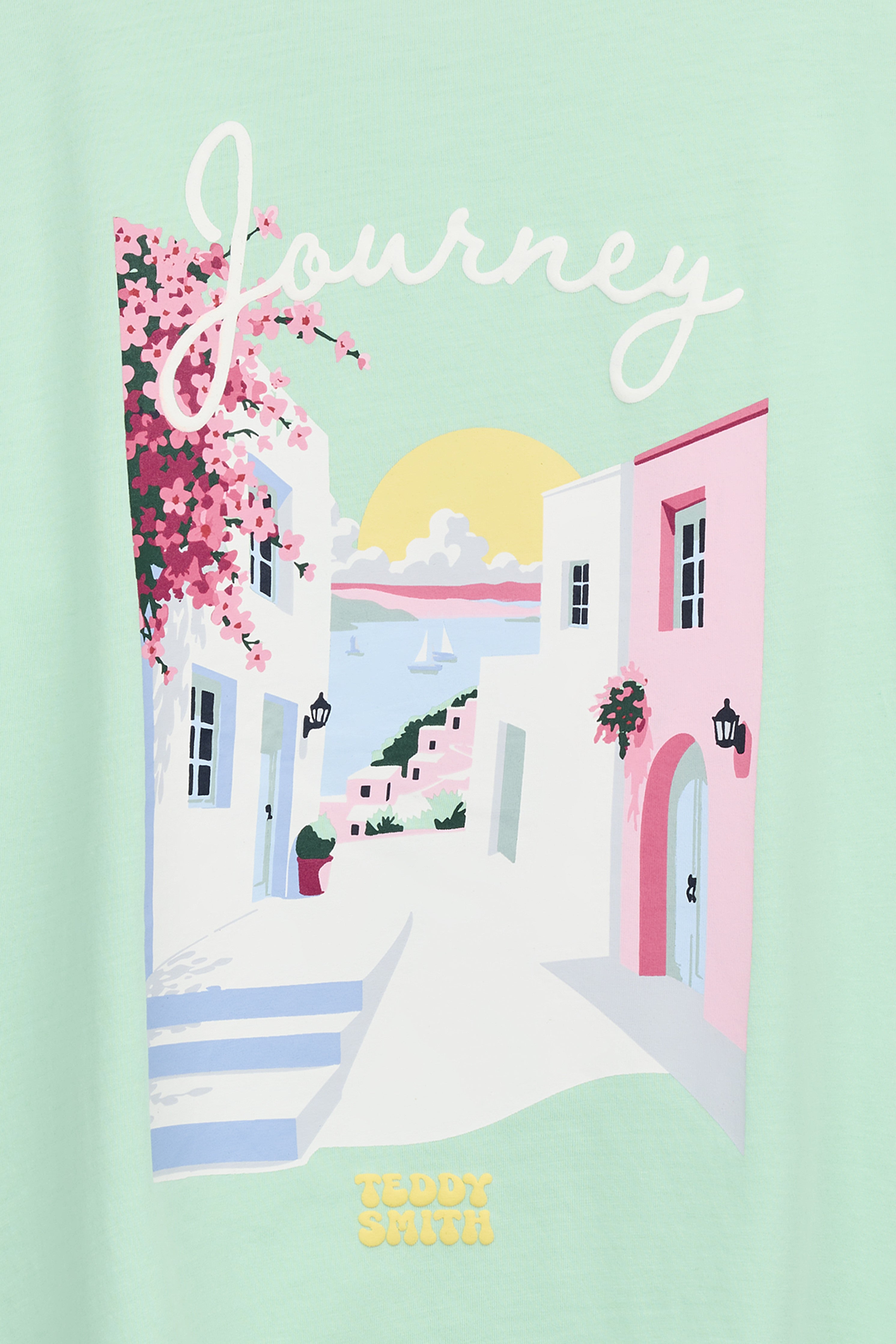 Teddy Smith T-Ally MC t-shirt vert menthe délavé