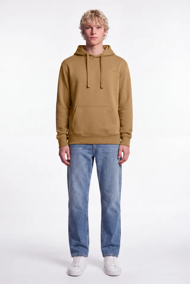 Teddy Smith S-Nark Hoody sweat à capuche Noisette molleton