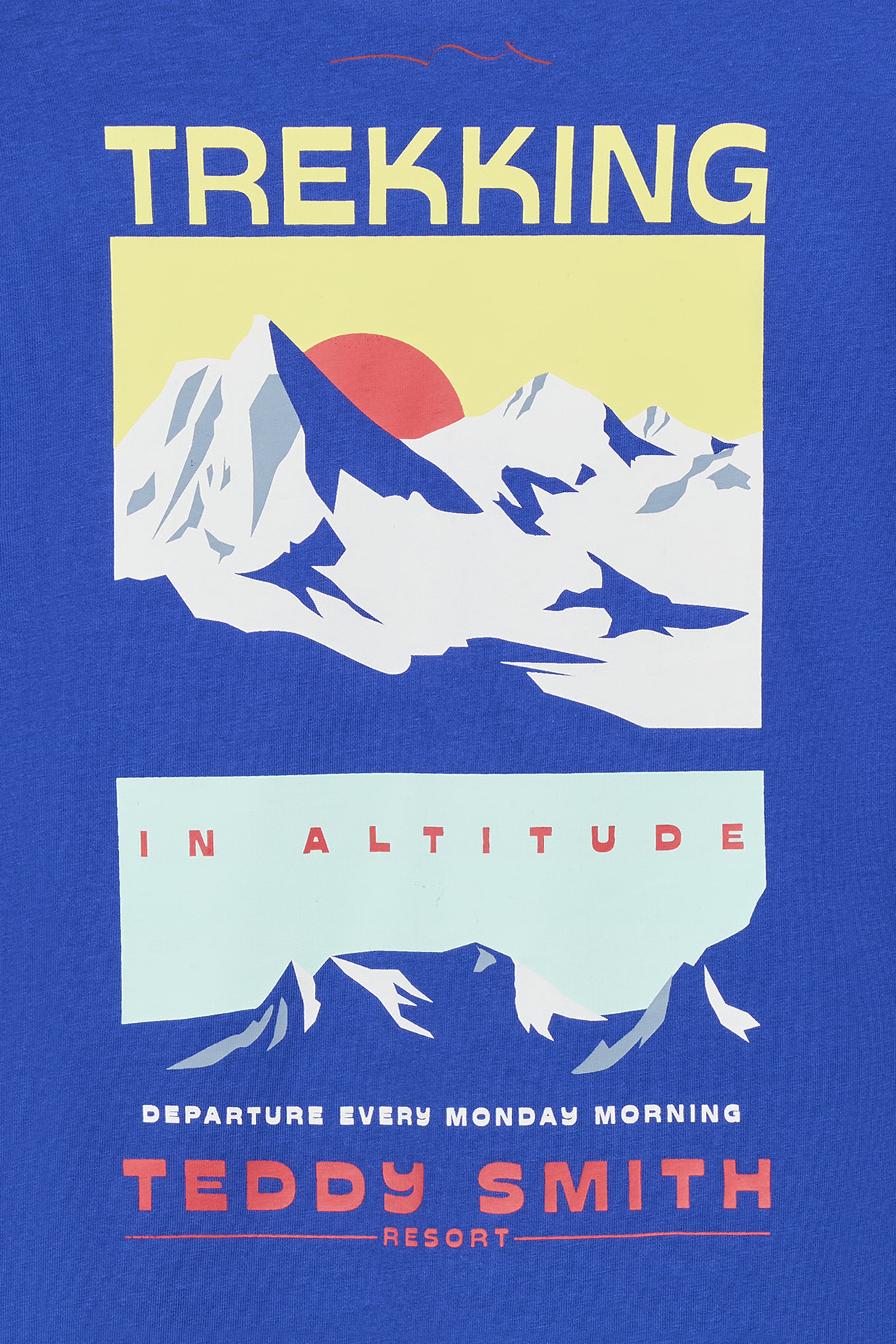 Teddy Smith T-Mountain t-shirt garçon bleu pep's coton
