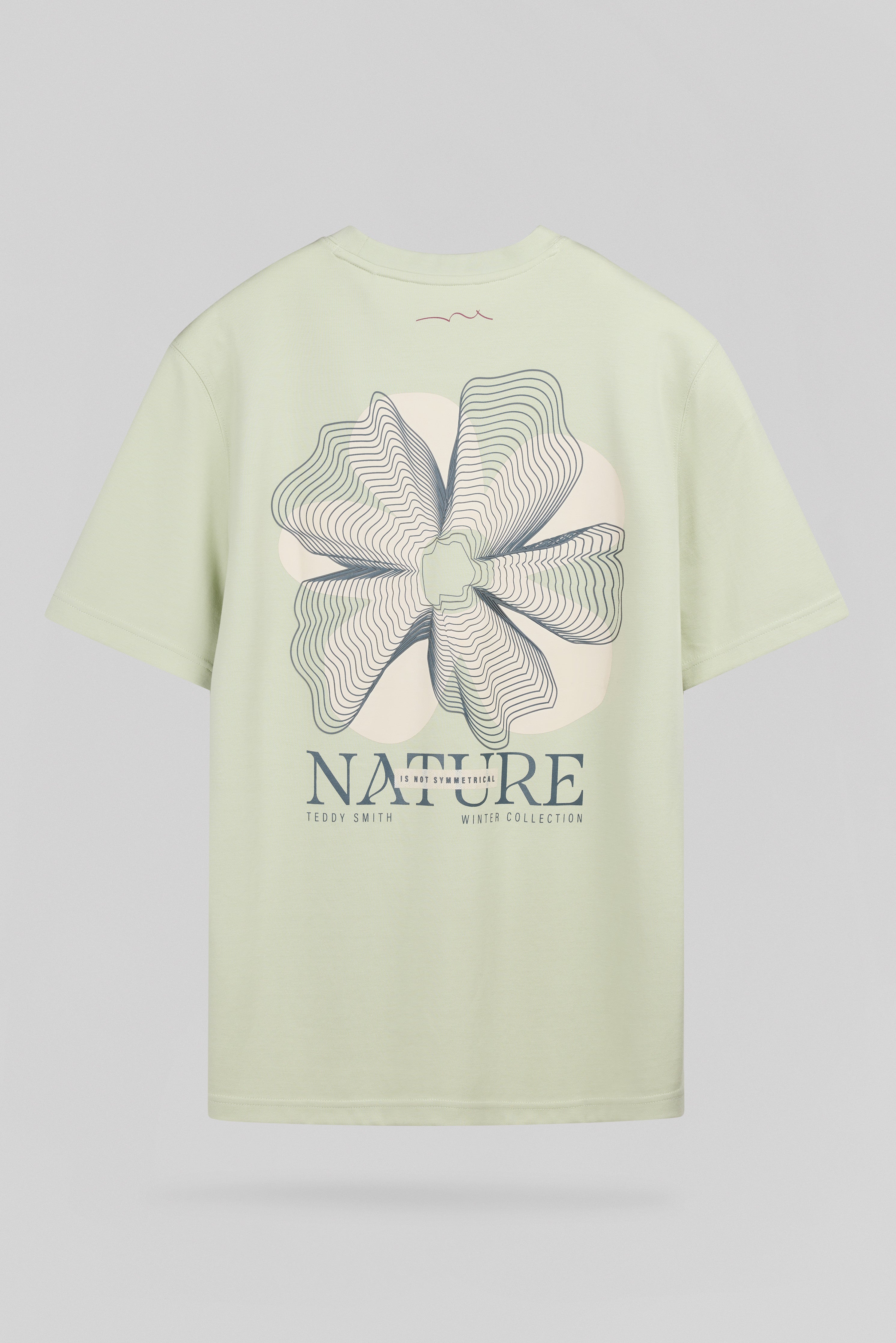 Teddy Smith T-Nature MC t-shirt vert nacre ample coton