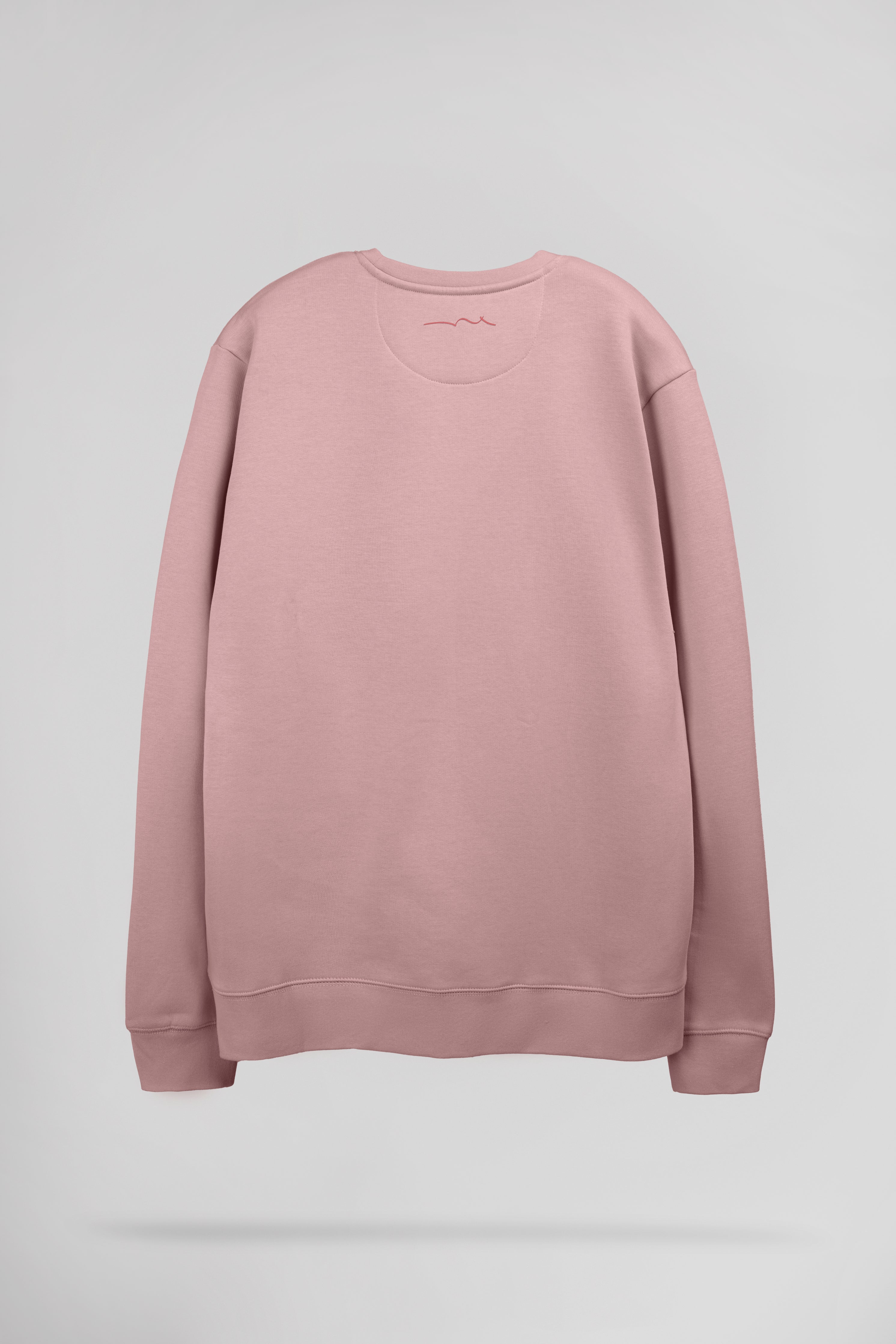 Teddy Smith S-Jim sweat homme wood rose molleton