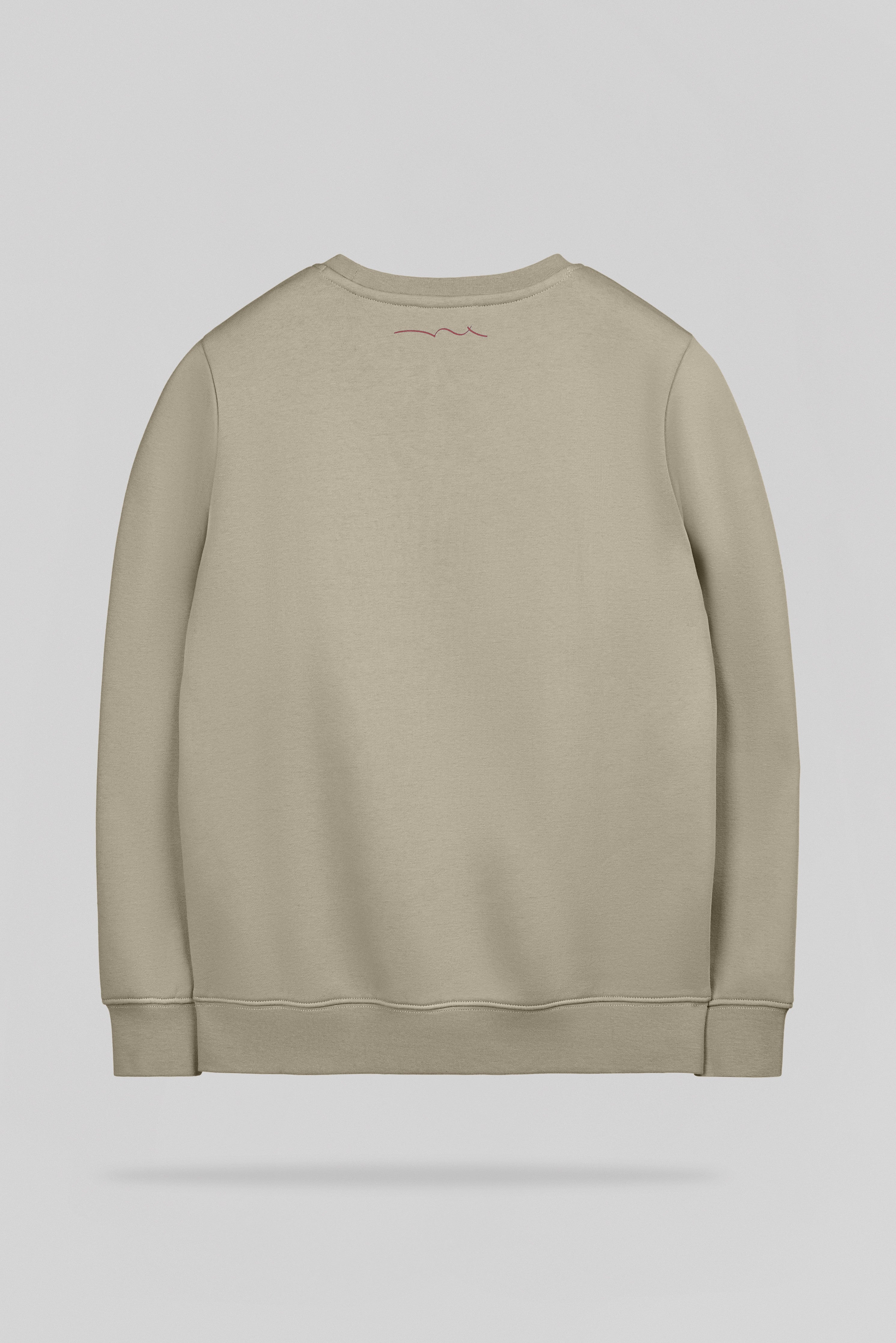 Teddy Smith S-Nark RC Jr sweat garçon kaki délavé