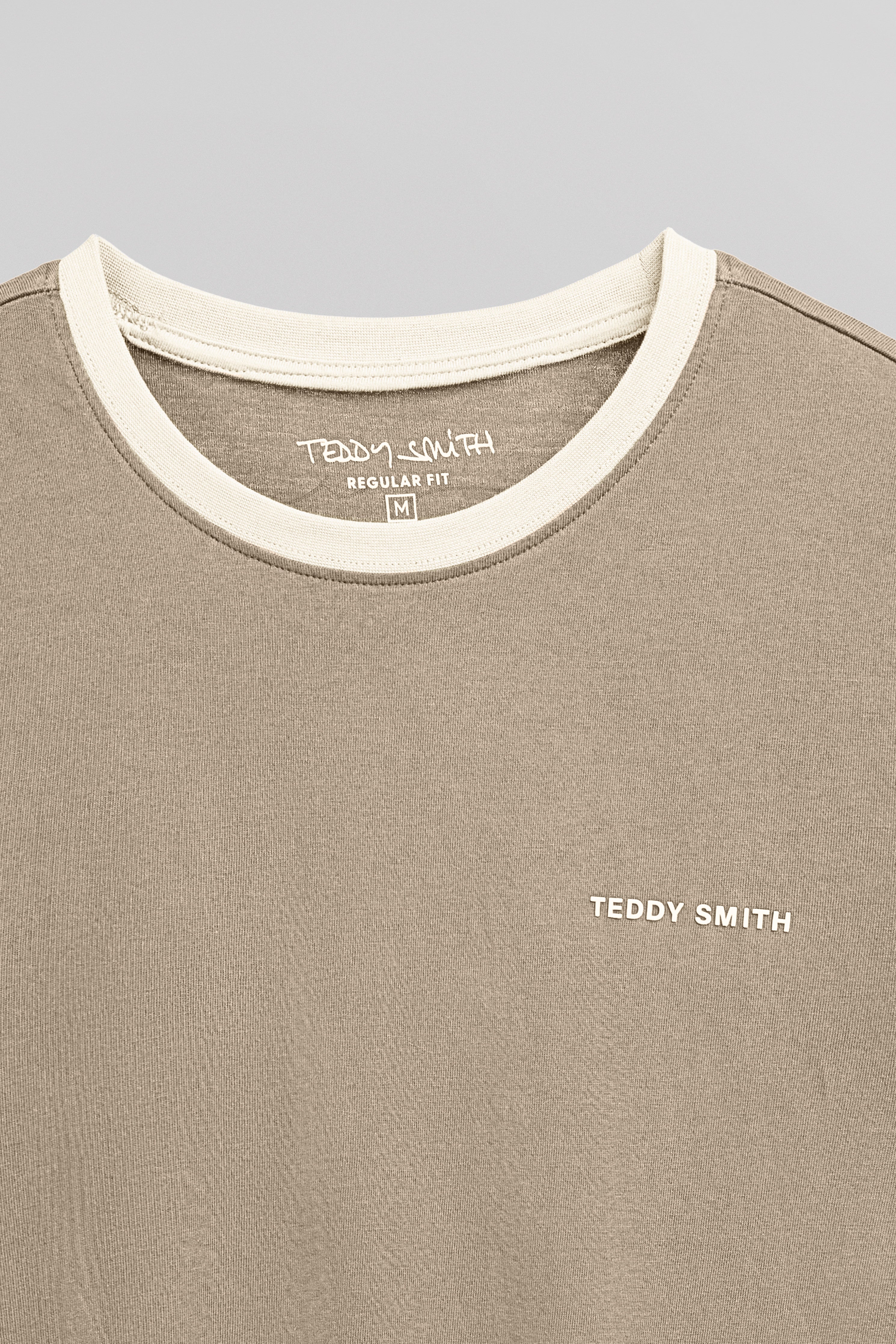 Teddy Smith The-Tee 2 R MC t-shirt wolf beige homme