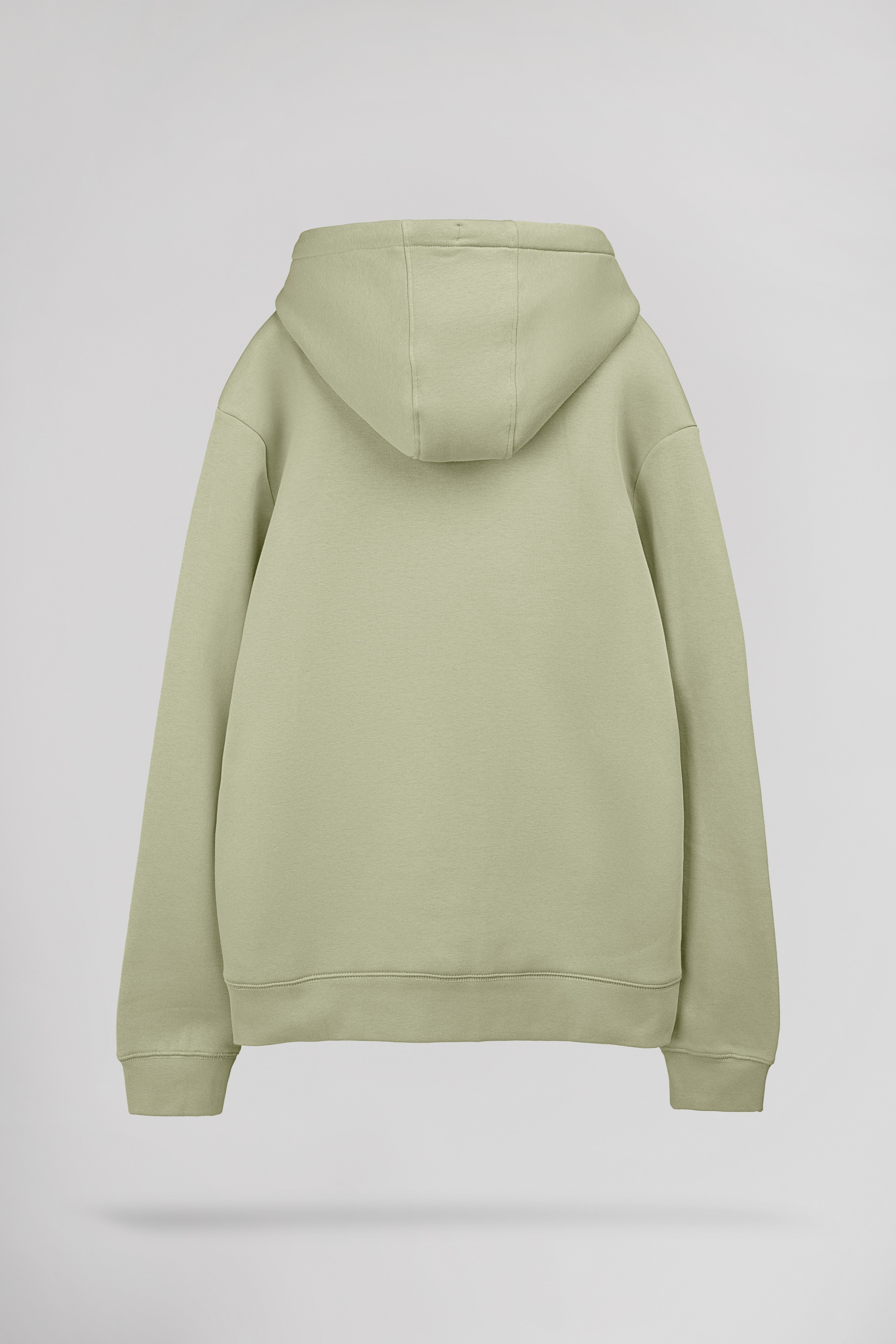 Teddy Smith S-Jim Hoody sweat à capuche vert sauge