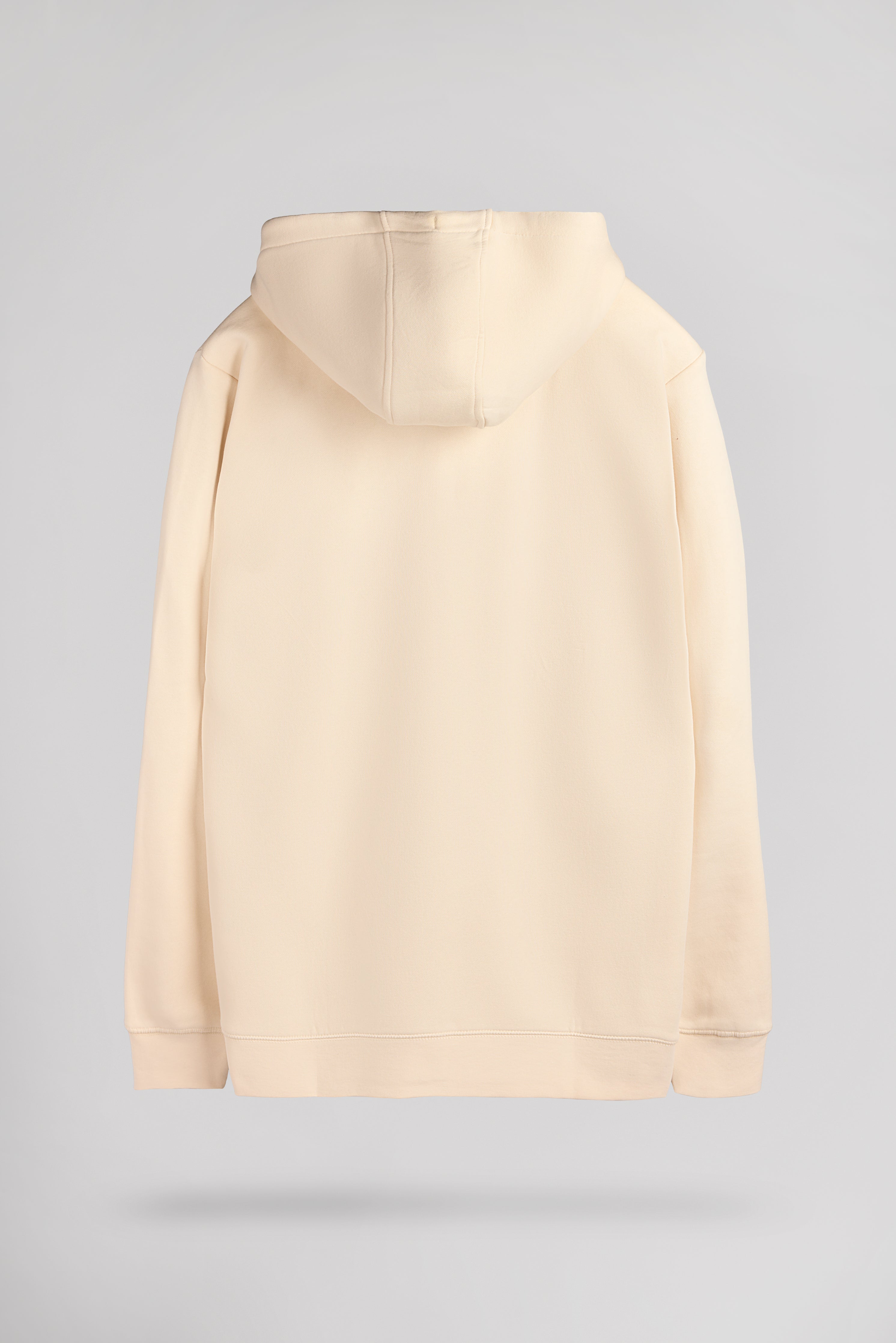 Teddy Smith Giclass Jim HZ gilet sweat capuche naturel