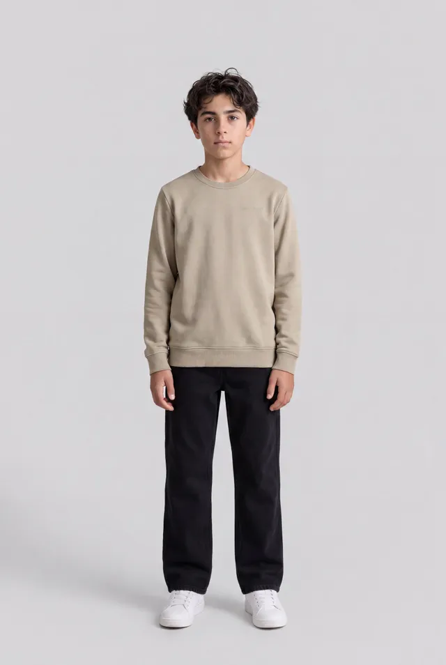 Teddy Smith S-Nark RC Jr sweat garçon kaki délavé