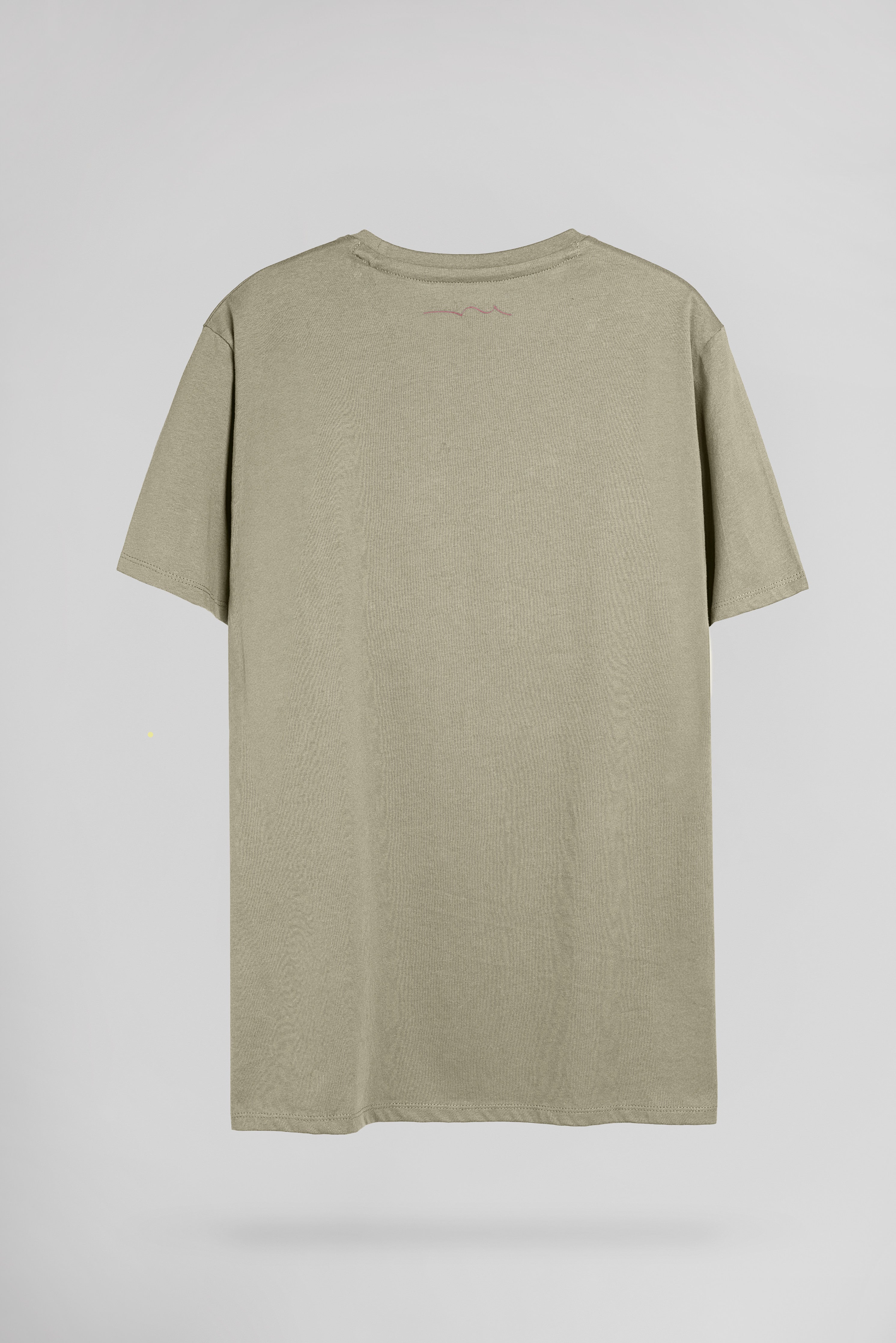 Teddy Smith The Tee 1 MC t-shirt kaki clair coton