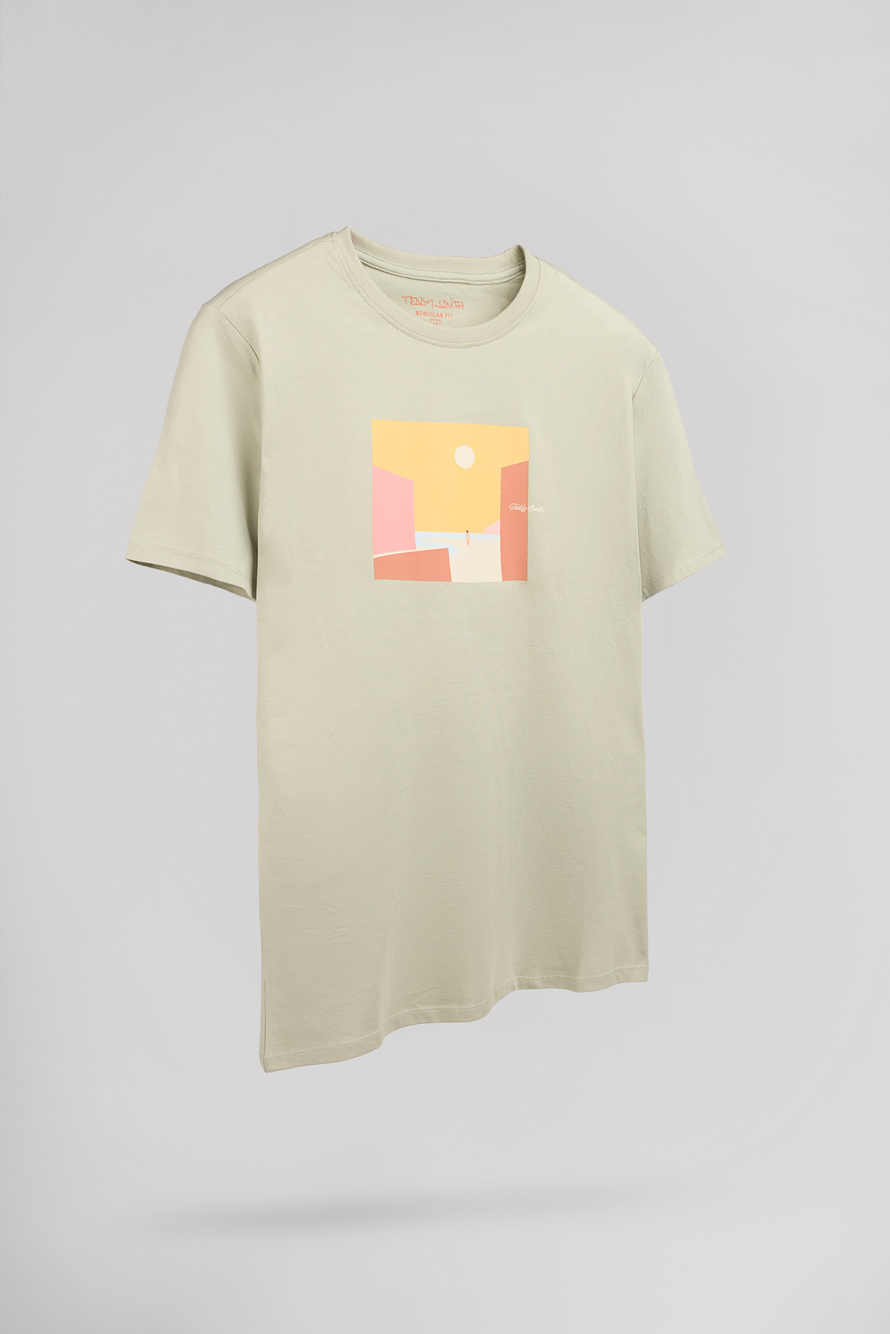 Teddy Smith T-Minimalist t-shirt vert sauge homme