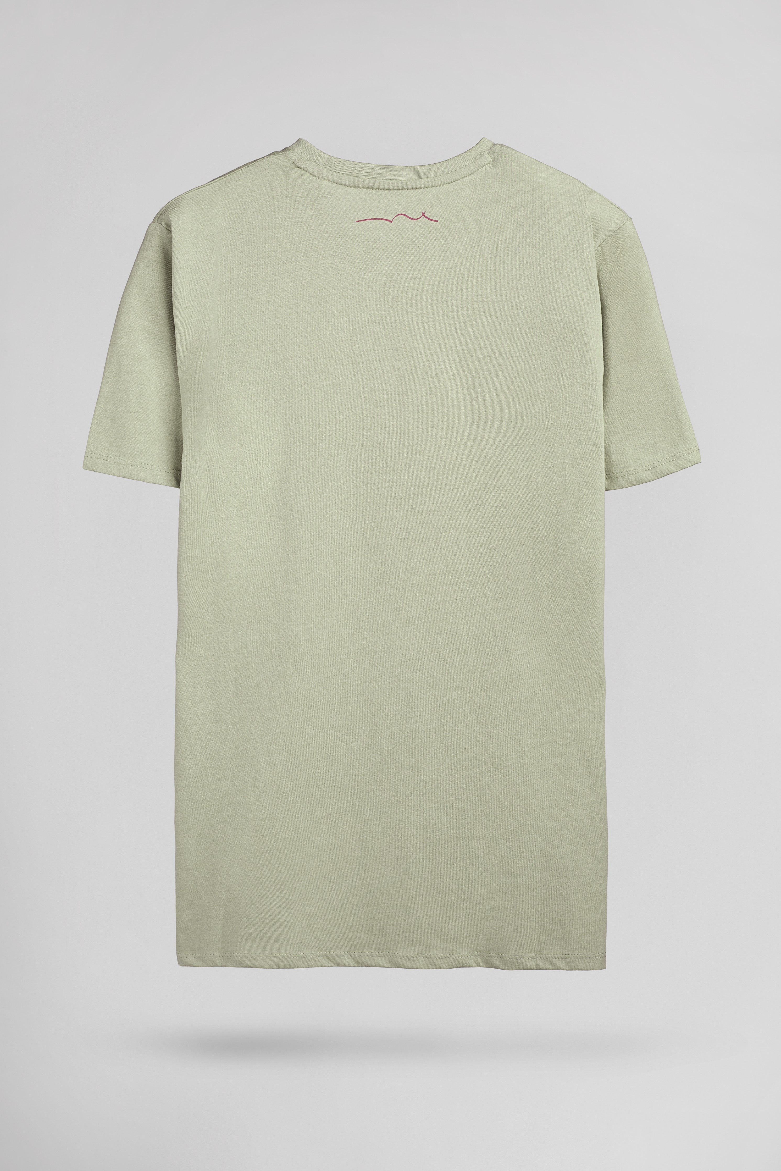 Teddy Smith The Tee 1 t-shirt coton vert sauge homme