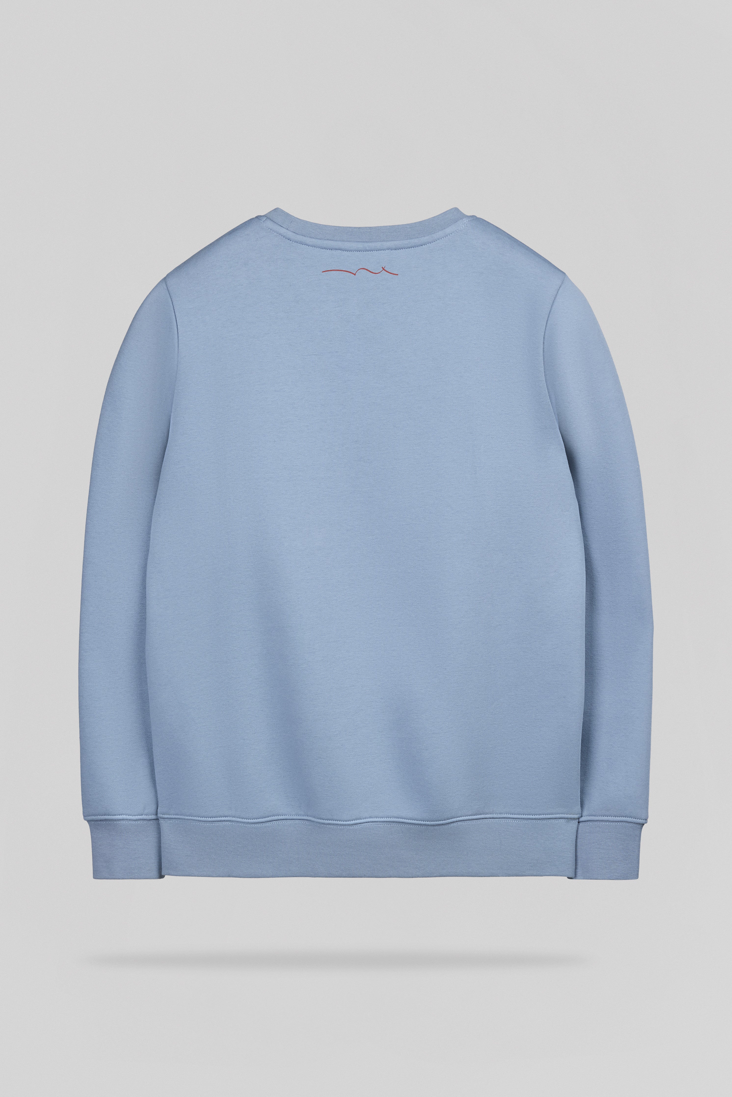 Teddy Smith S-Nark RC sweat bleu minéral garçon