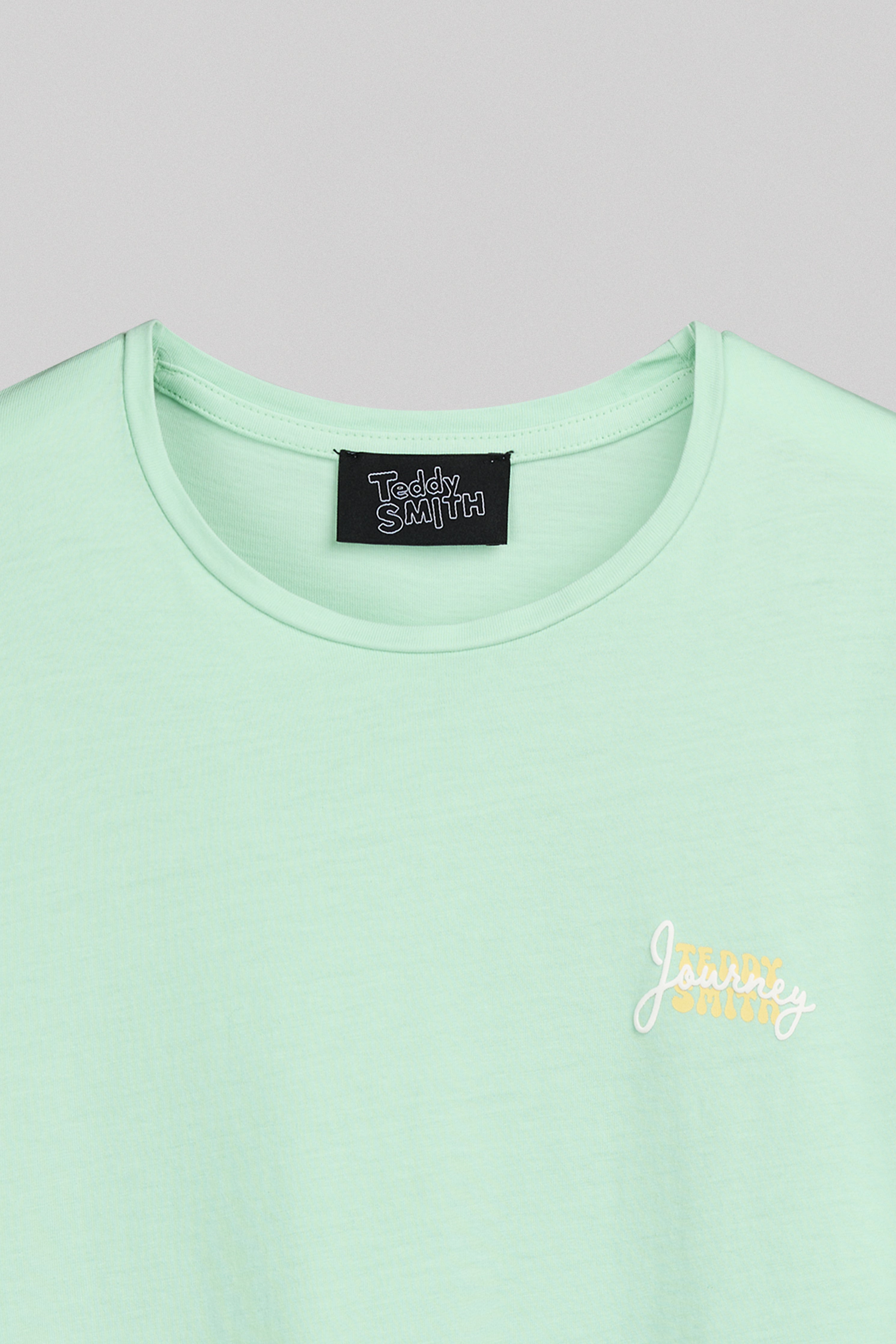 Teddy Smith T-Ally MC t-shirt vert menthe délavé