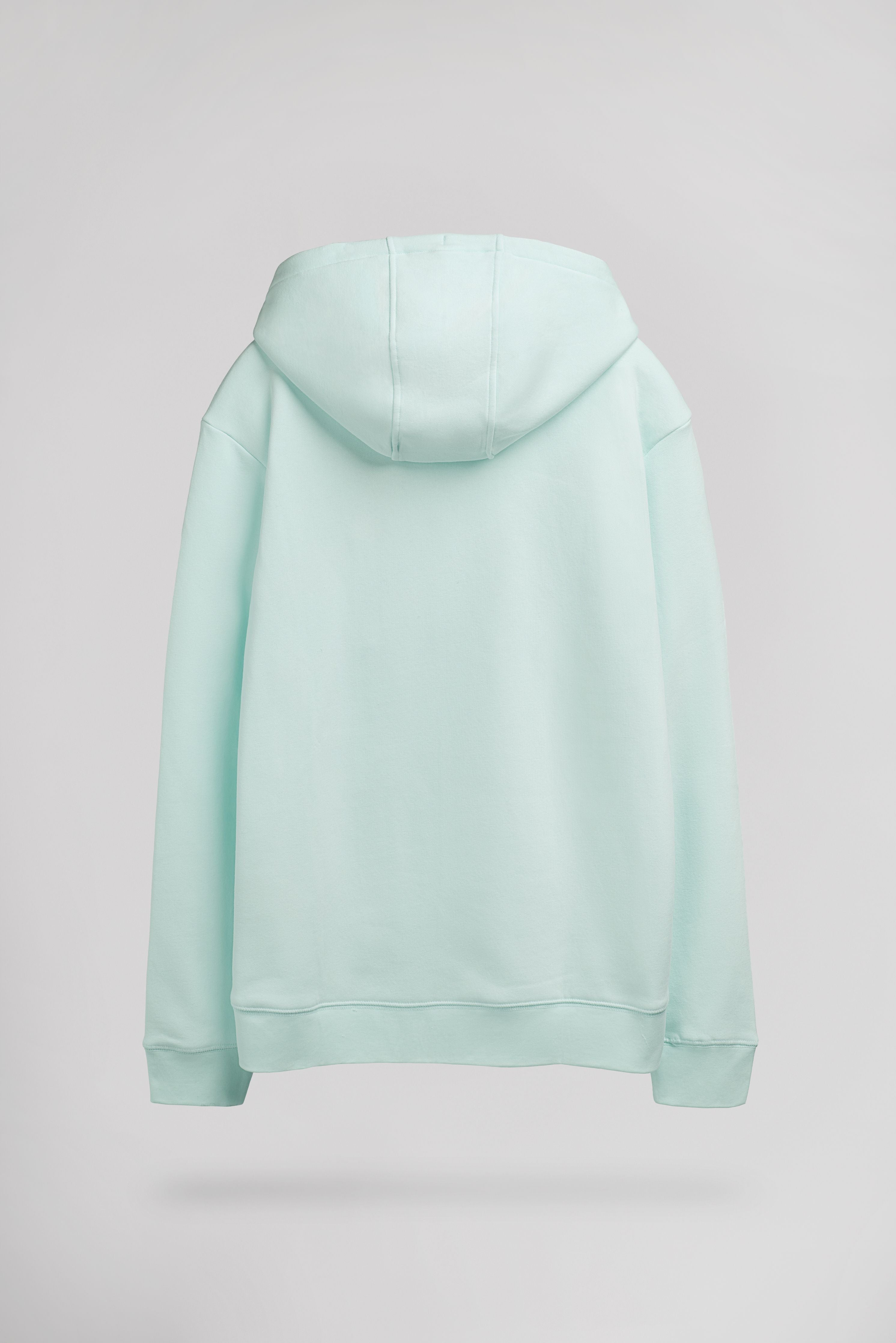 Teddy Smith S-Jim Hoody sweat capuche menthol homme