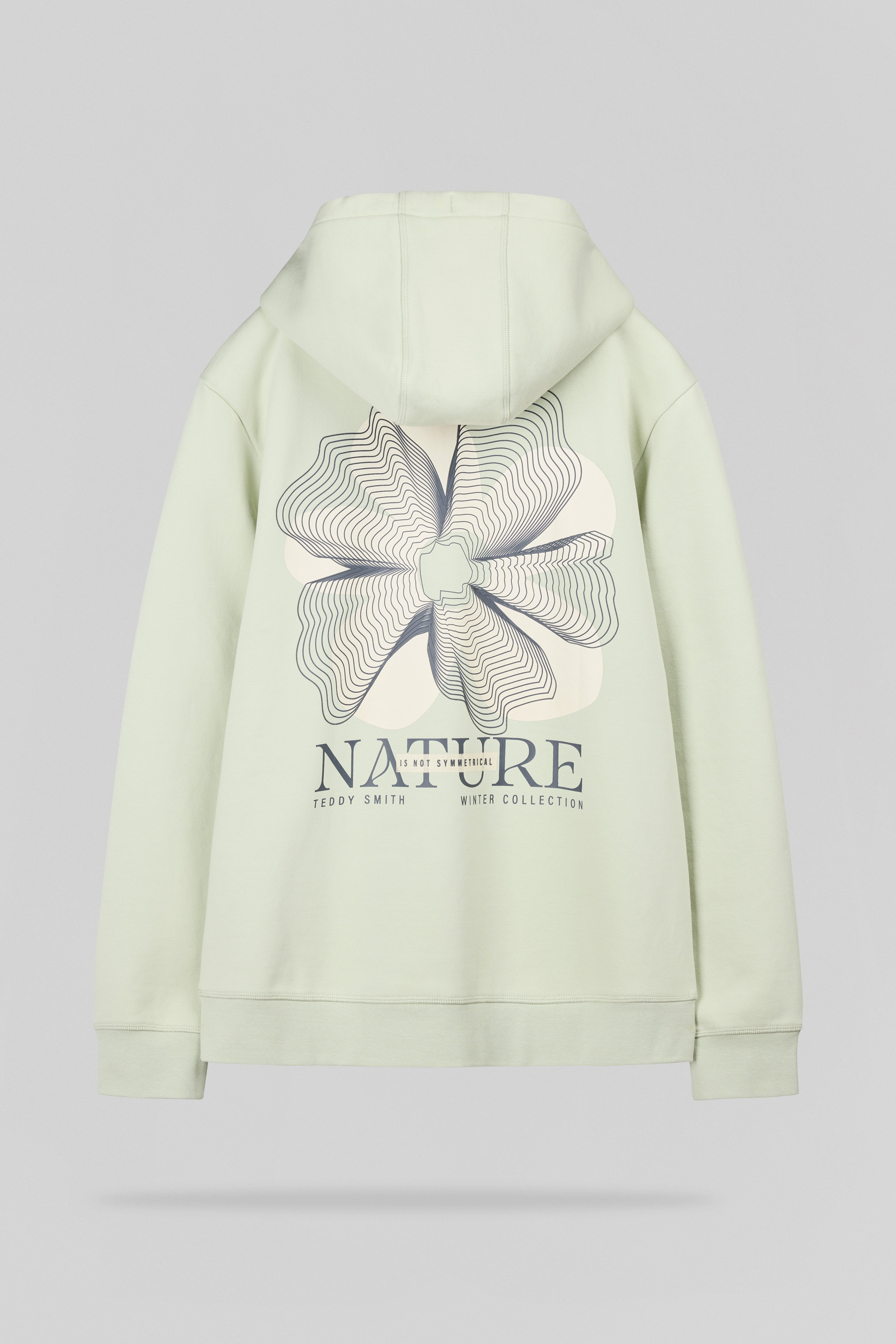 Teddy Smith S-Nature Hoody Vert Nacre sweat capuche coton