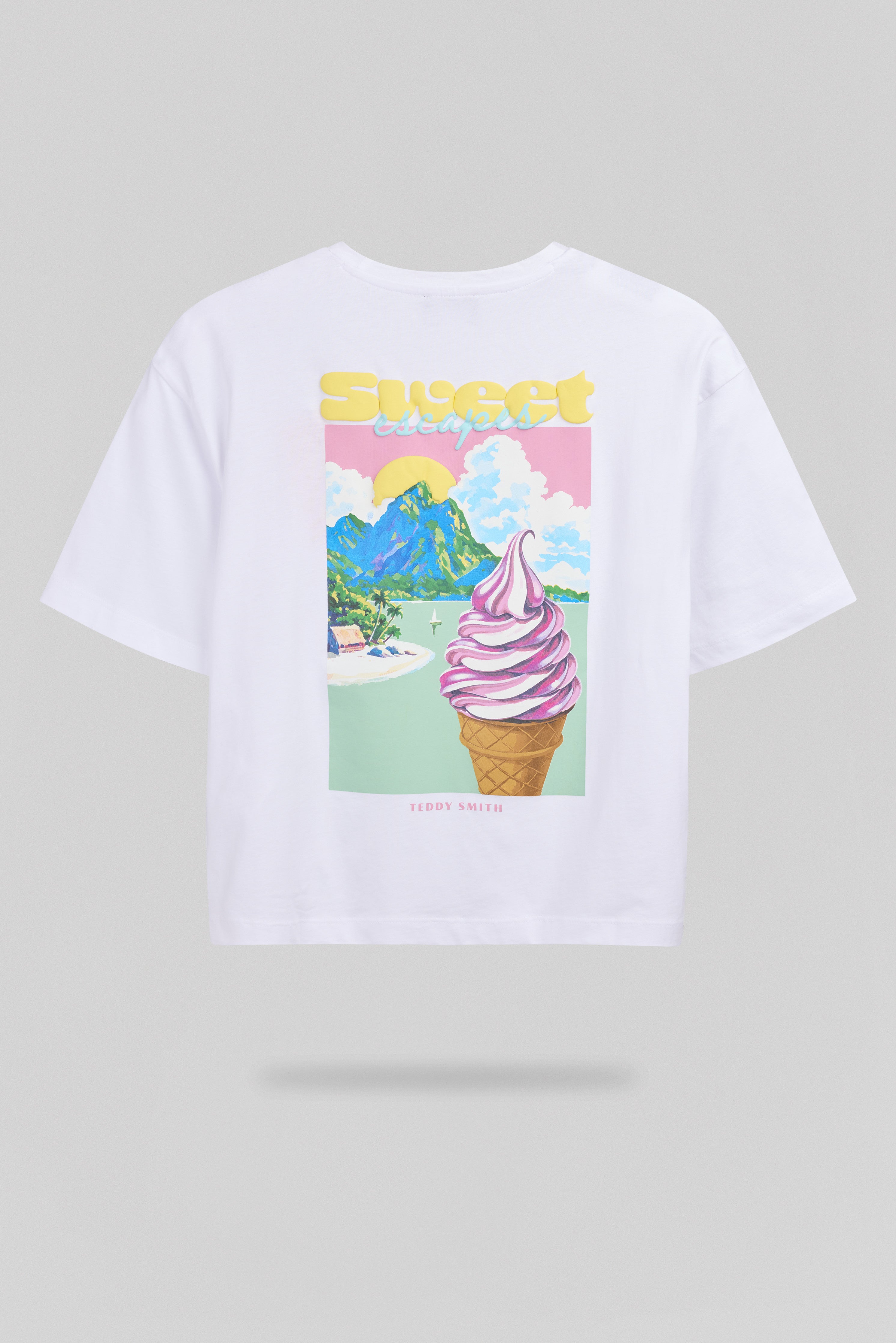 Teddy Smith T-Icy Mc Blanc t-shirt oversize coton