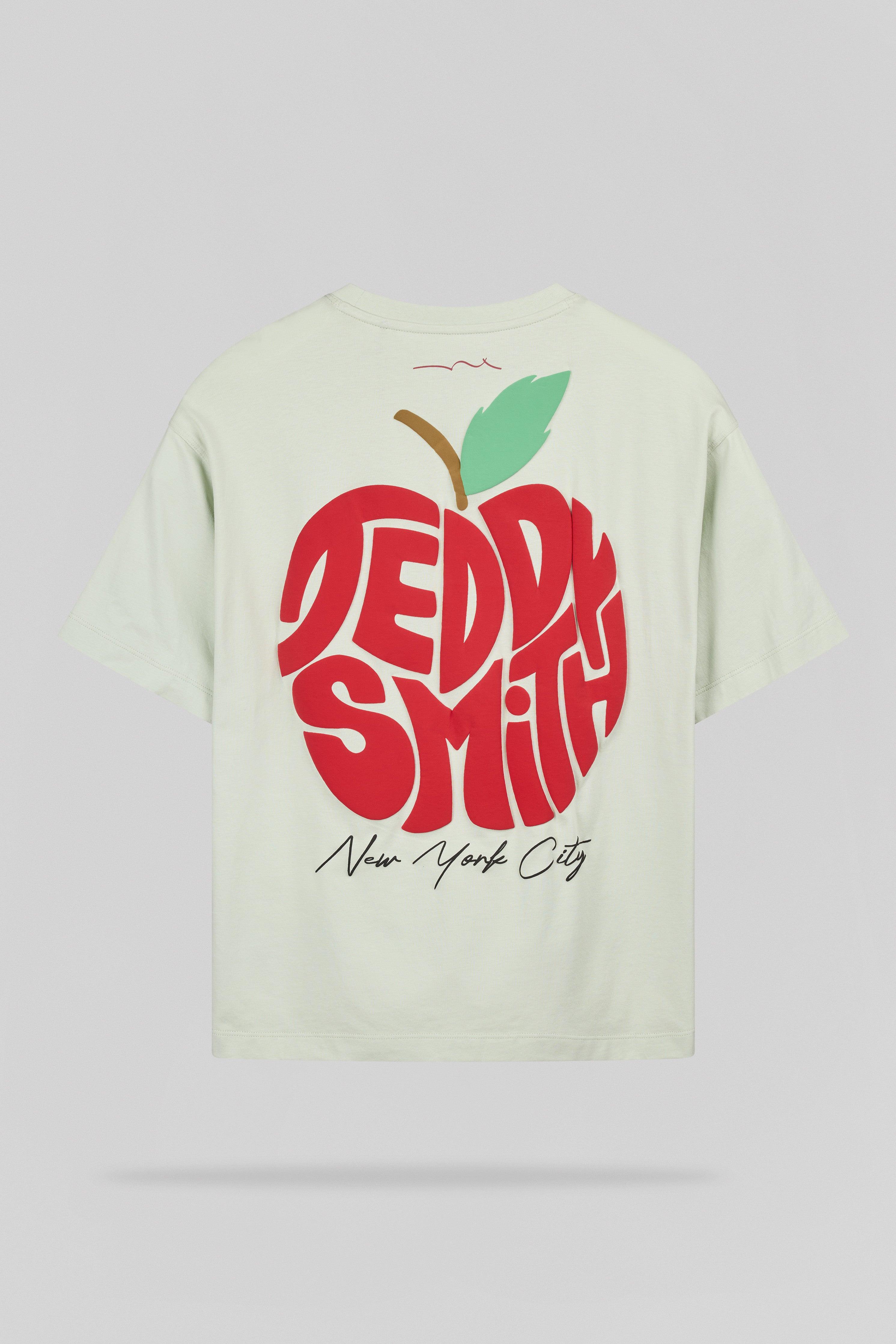 Teddy Smith T-Pom t-shirt coton garçon vert nacre pomme