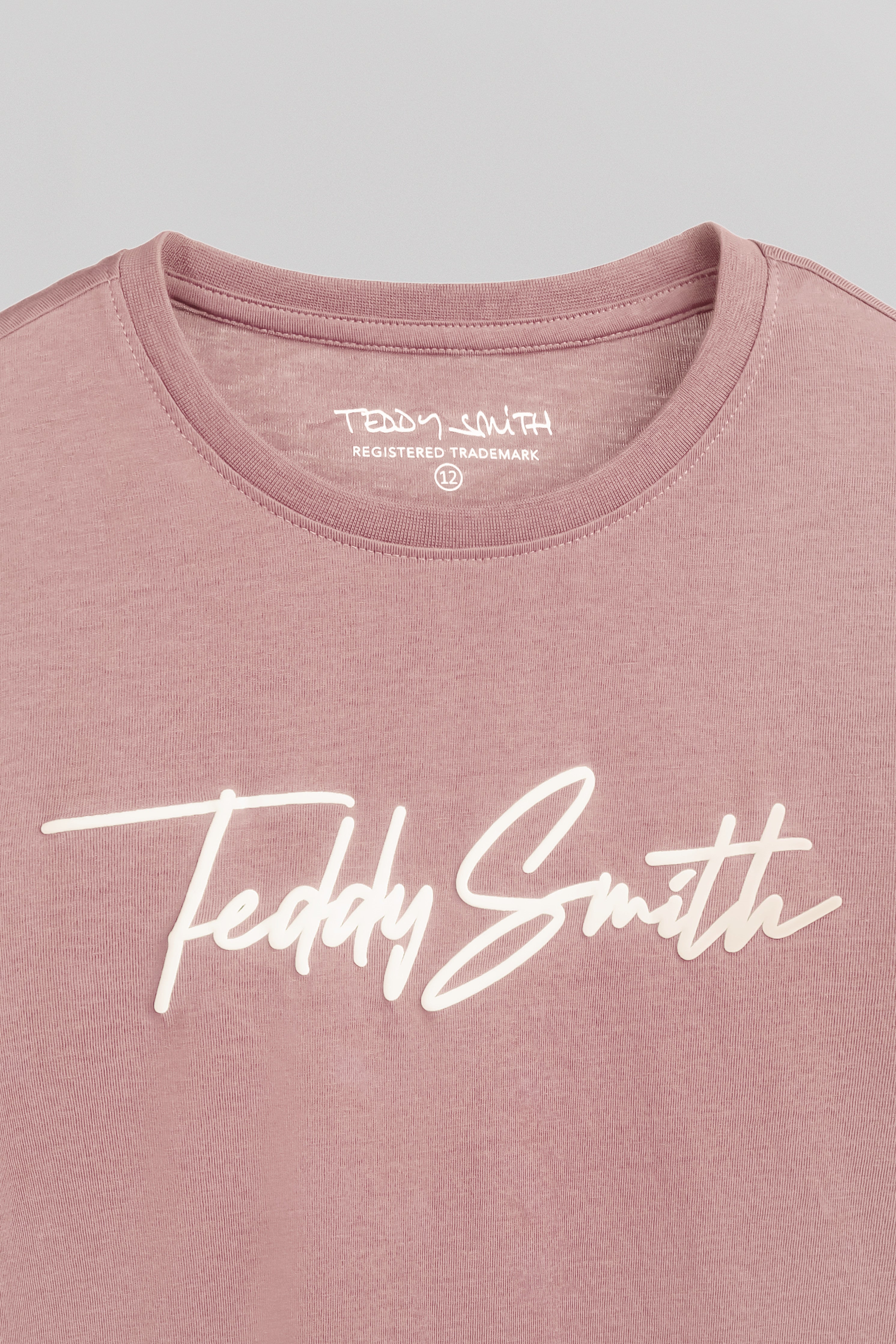 Teddy Smith T-Evan MC JR t-shirt Wood Rose garçon