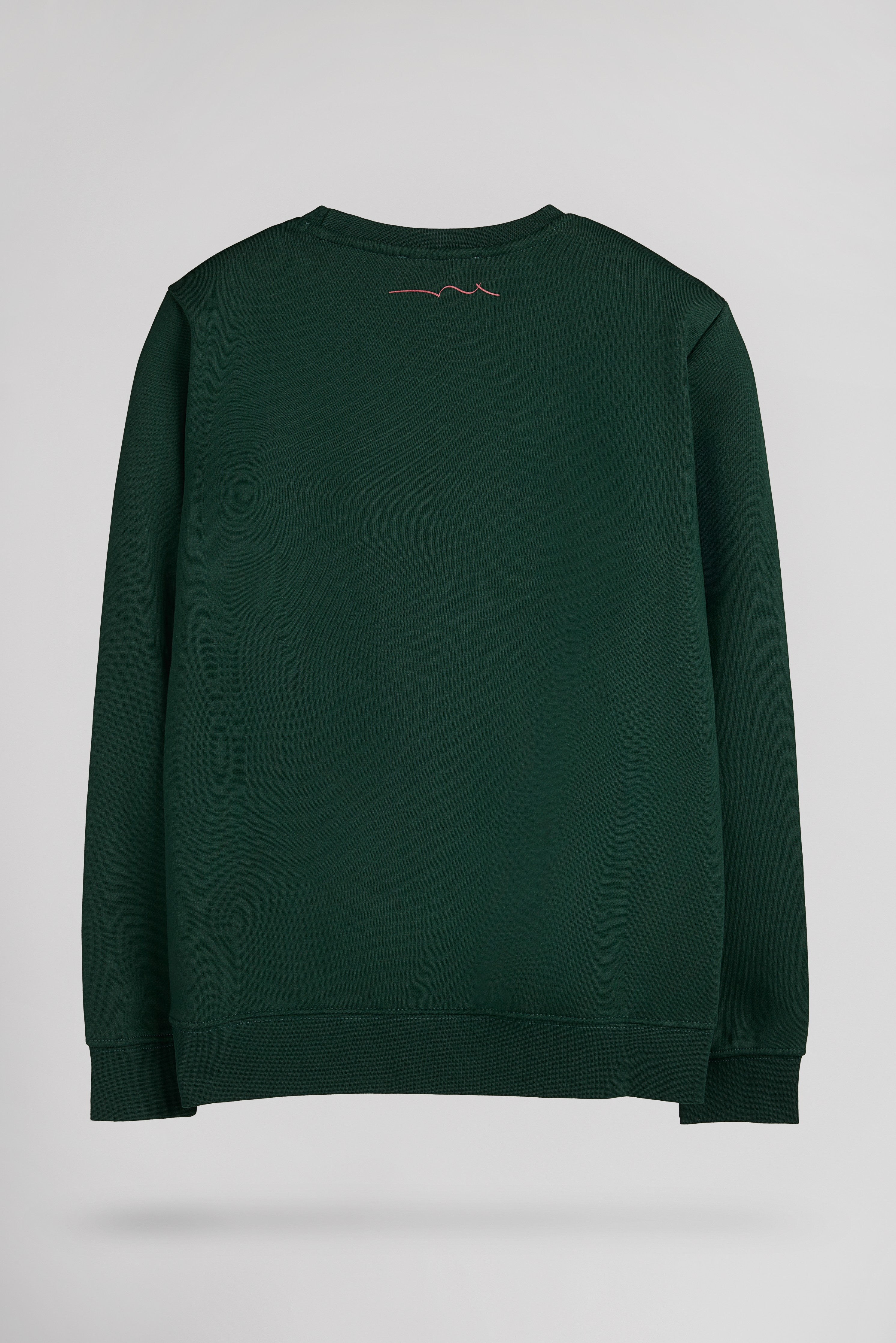 Teddy Smith S-Nark RC sweat garçon vert scarabé