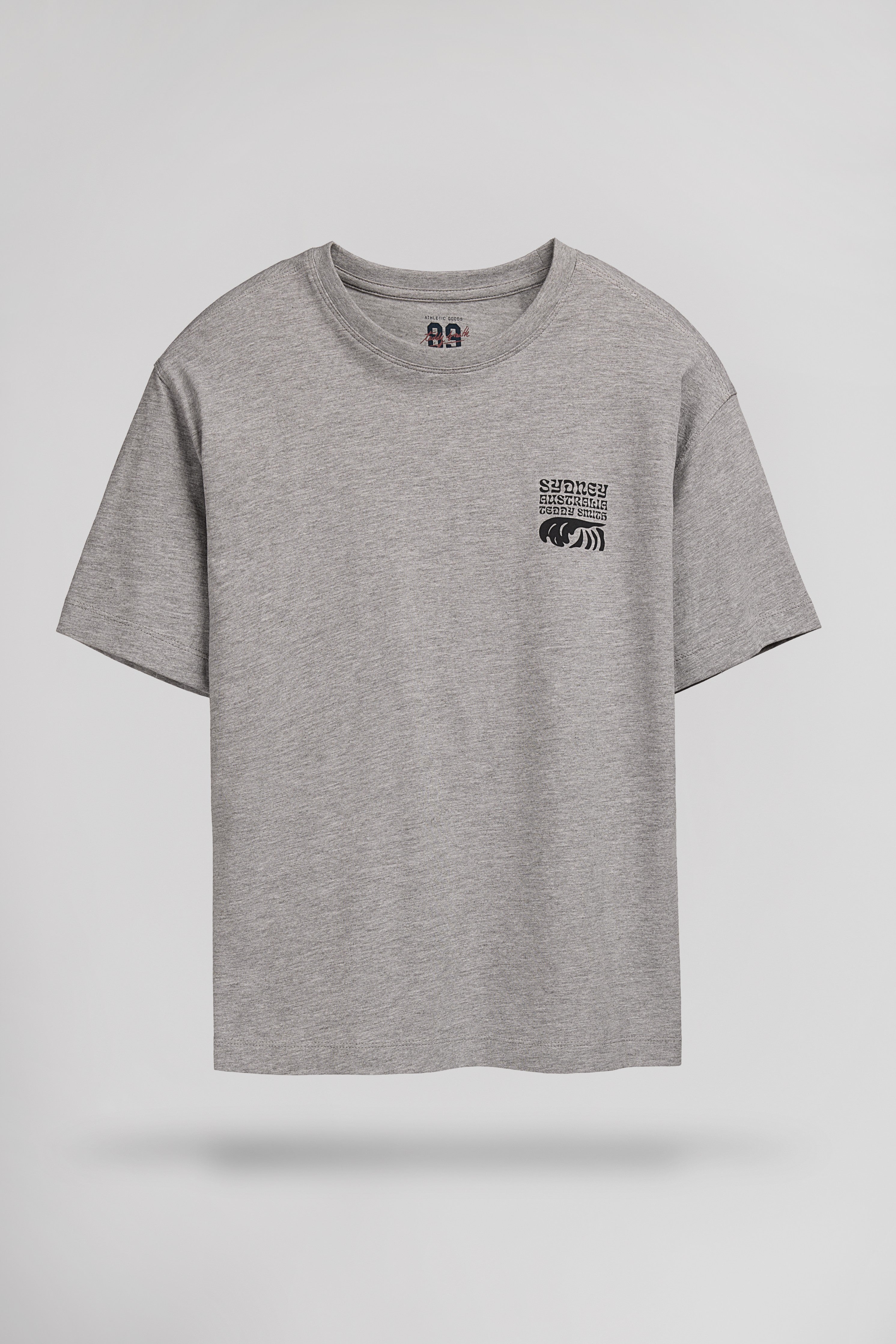 Teddy Smith T-World t-shirt gris chiné garçon