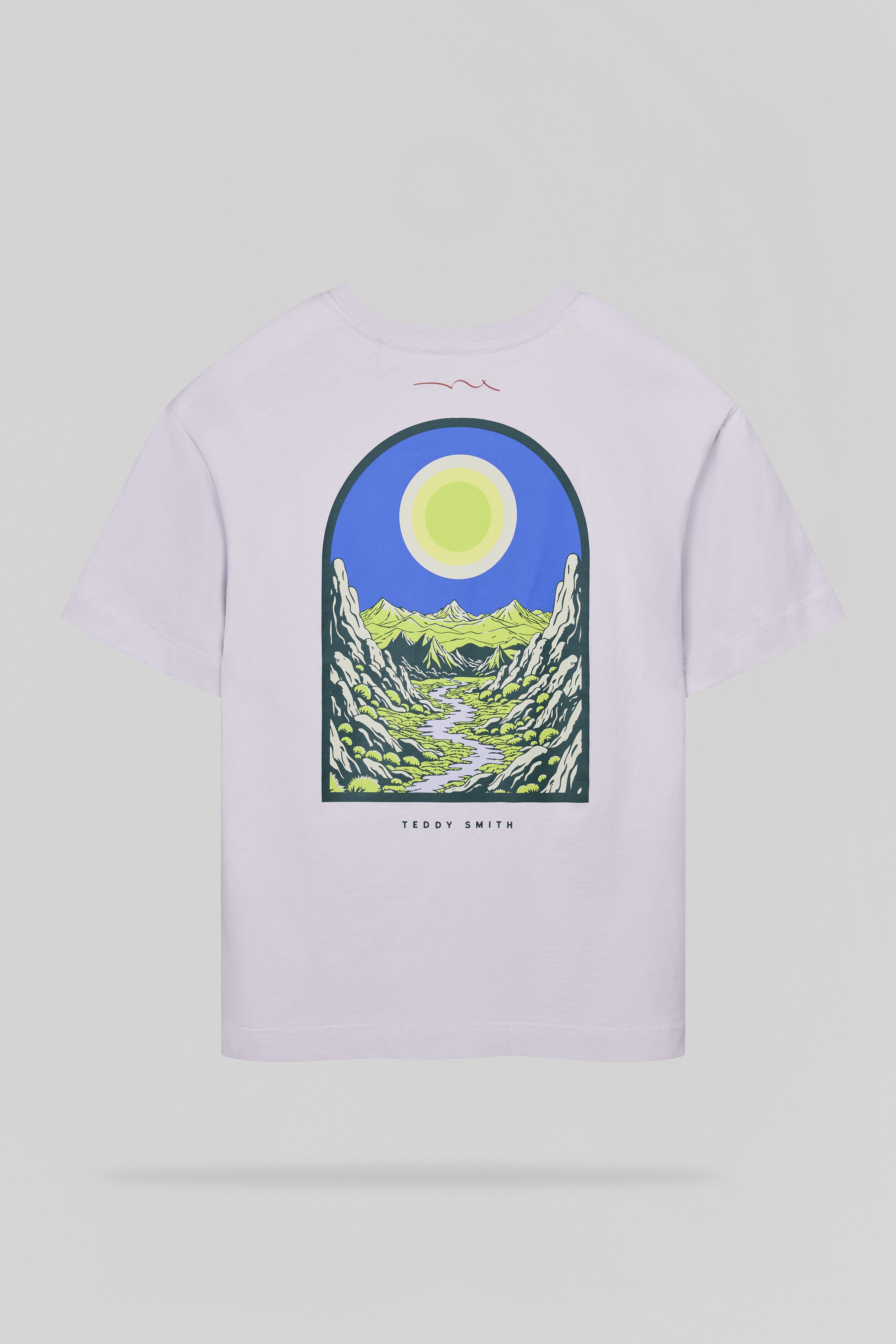 Teddy Smith T-Anik MC JR t-shirt garçon lavande coton