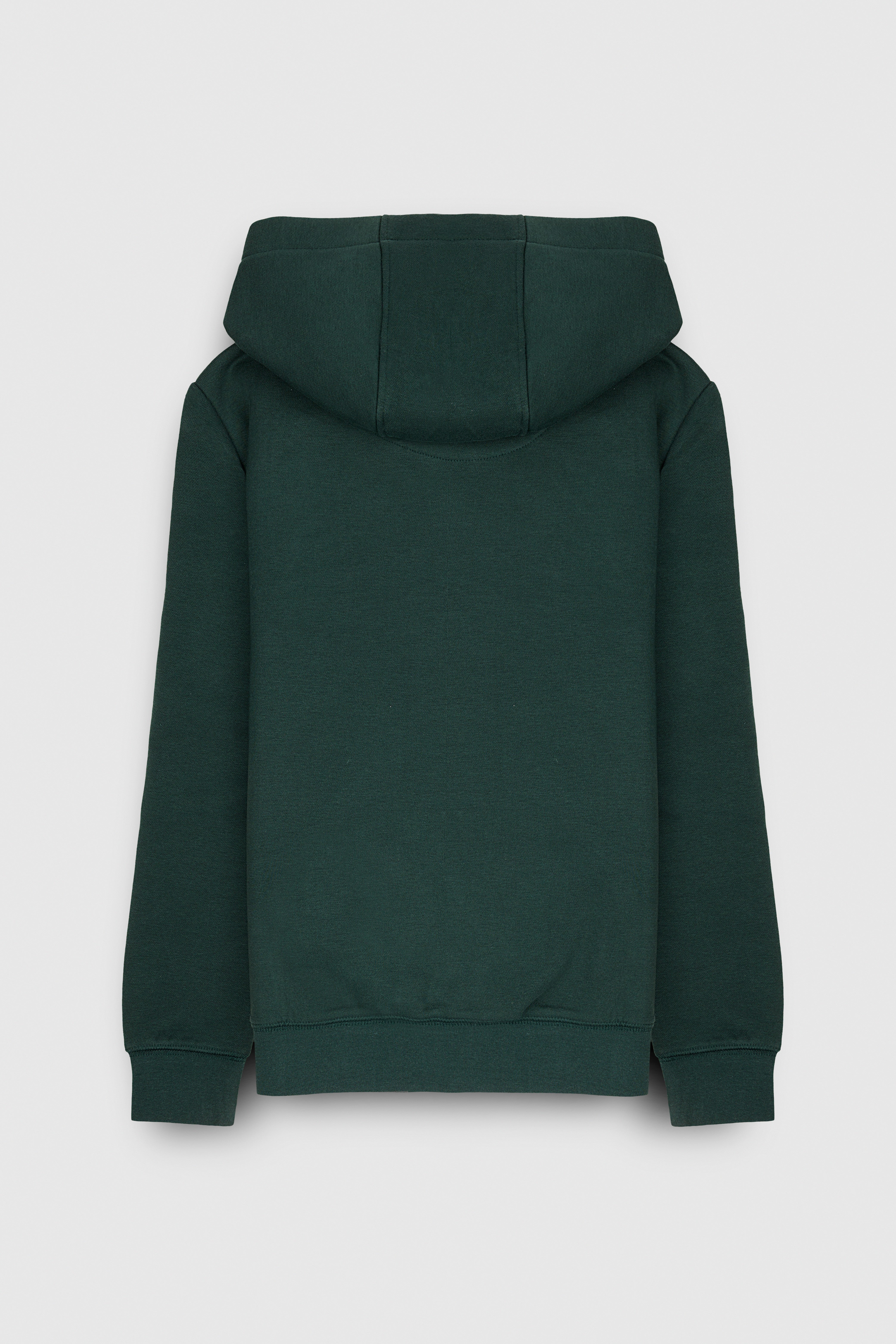 Teddy Smith S-Jim Hoody JR sweat capuche vert scarabe garcon