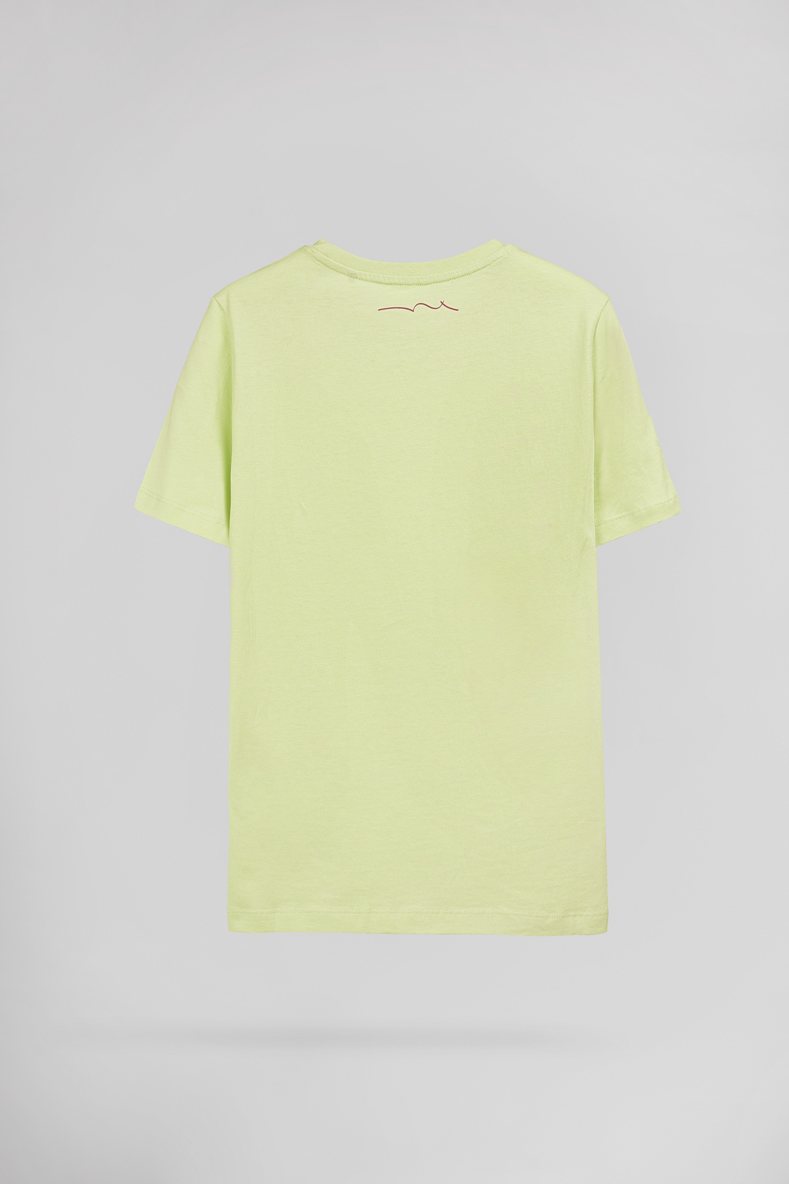 Teddy Smith T-Evan MC JR t-shirt citron pale garcon coton