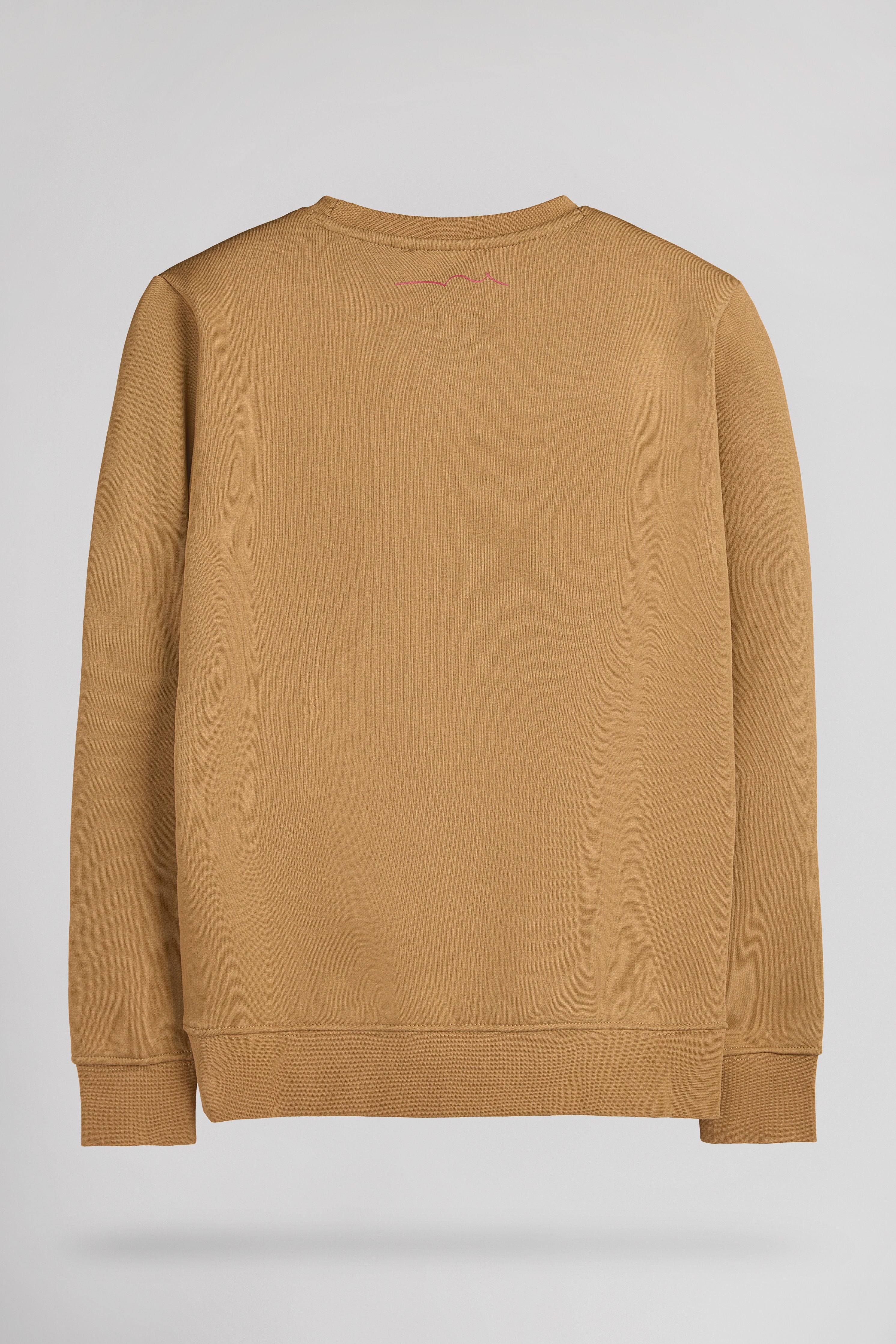 TEDDY SMITH S-NARK RC JR sweat noisette garçon
