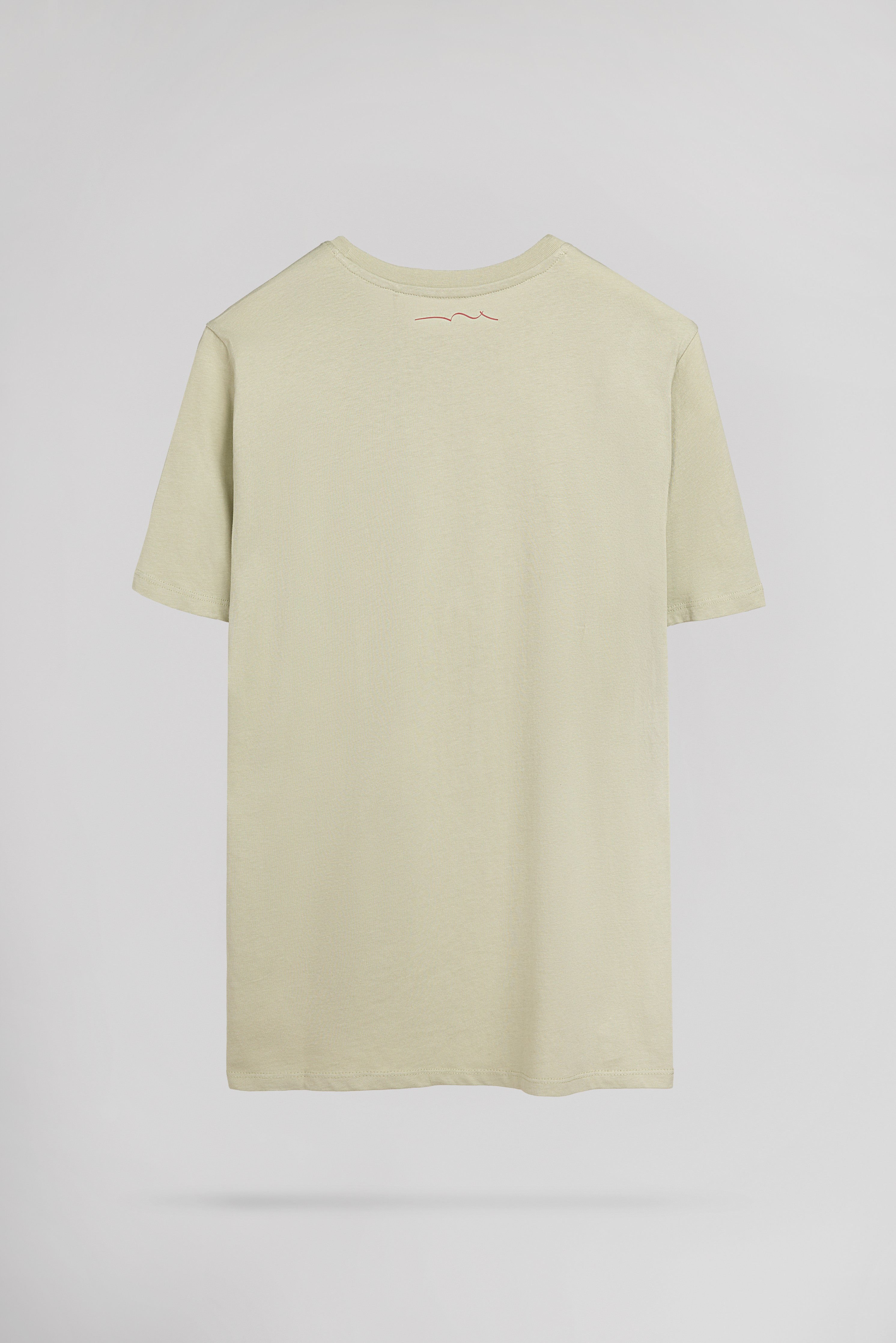 Teddy Smith T-Pany MC t-shirt vert sauge homme