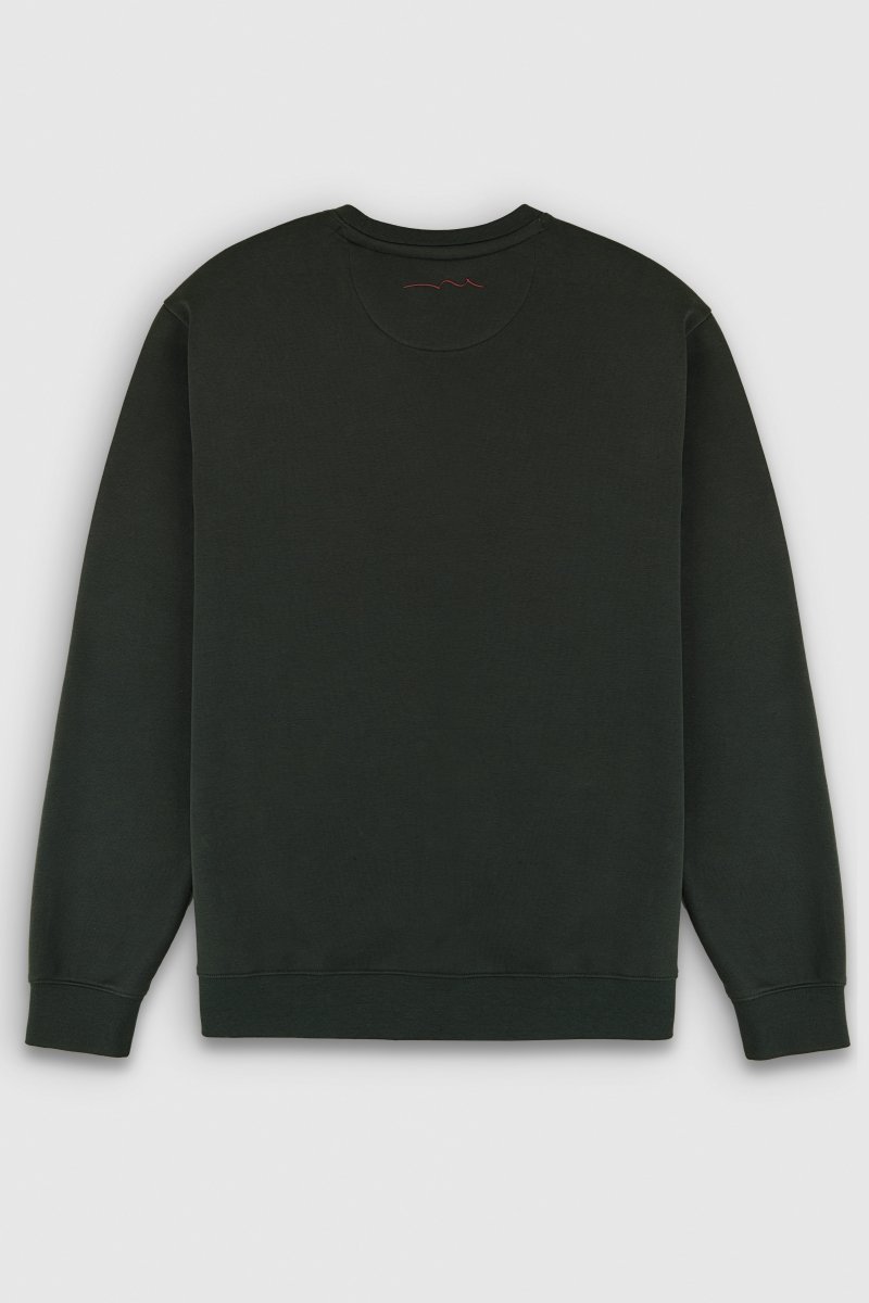 Teddy Smith S-Nark RC sweat vert scarabe col rond