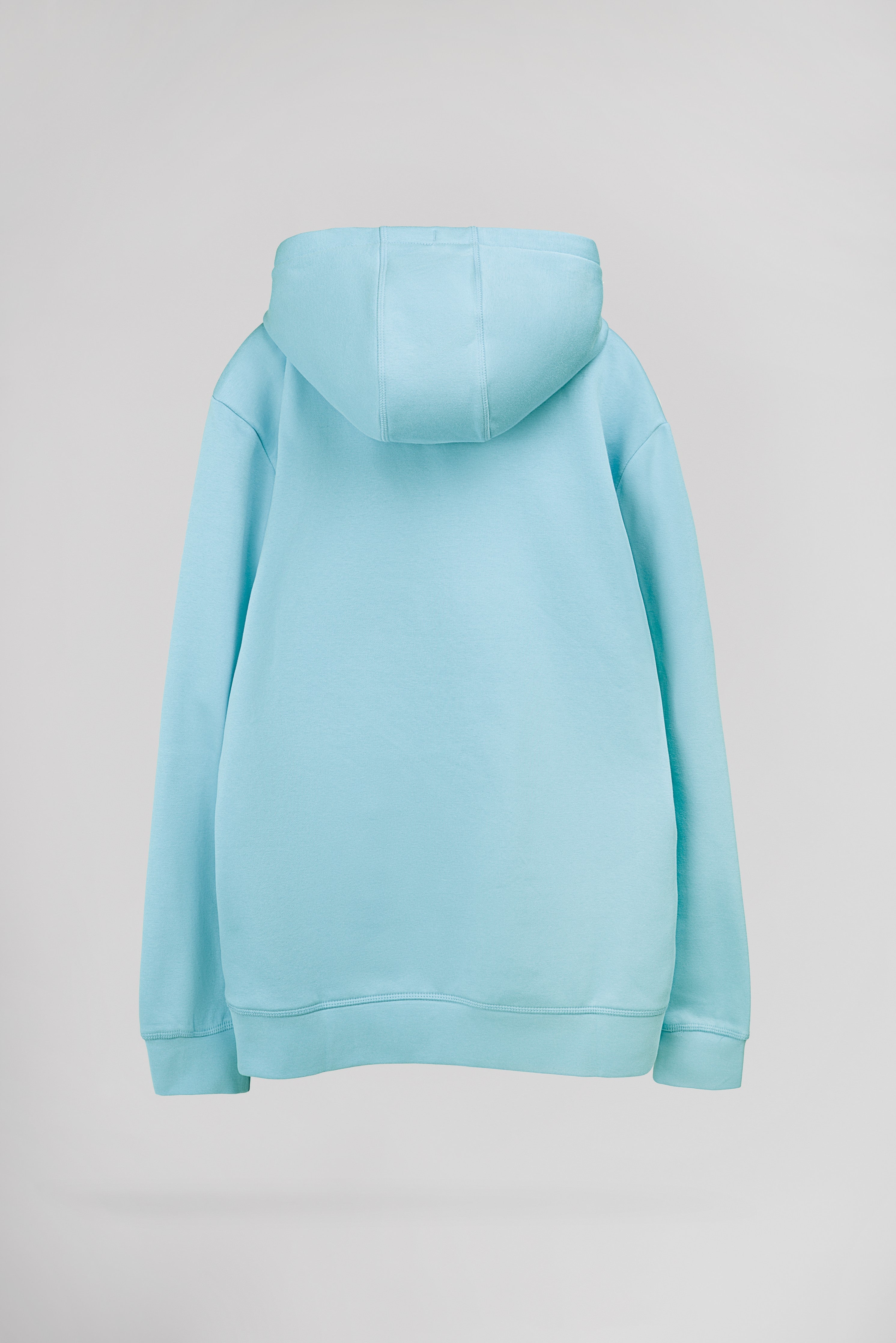 Teddy Smith S-Nark Hoody sweat à capuche Bleu Lagon molleton