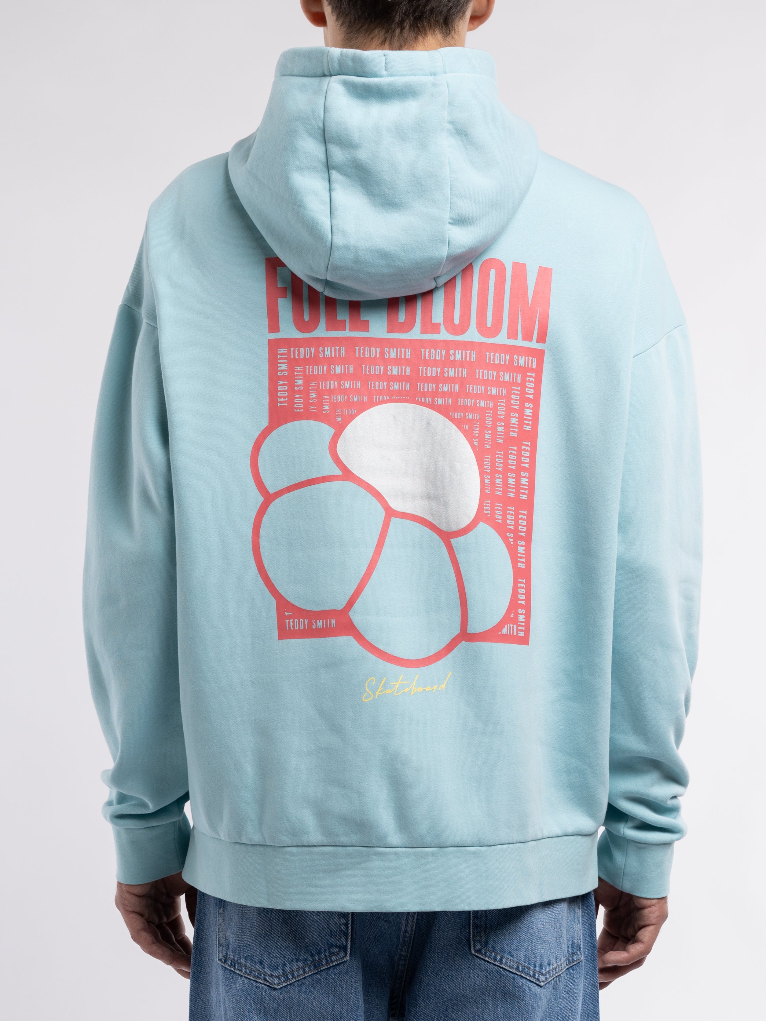 Teddy Smith S-Rima Hoody sweat capuche bleu lagon