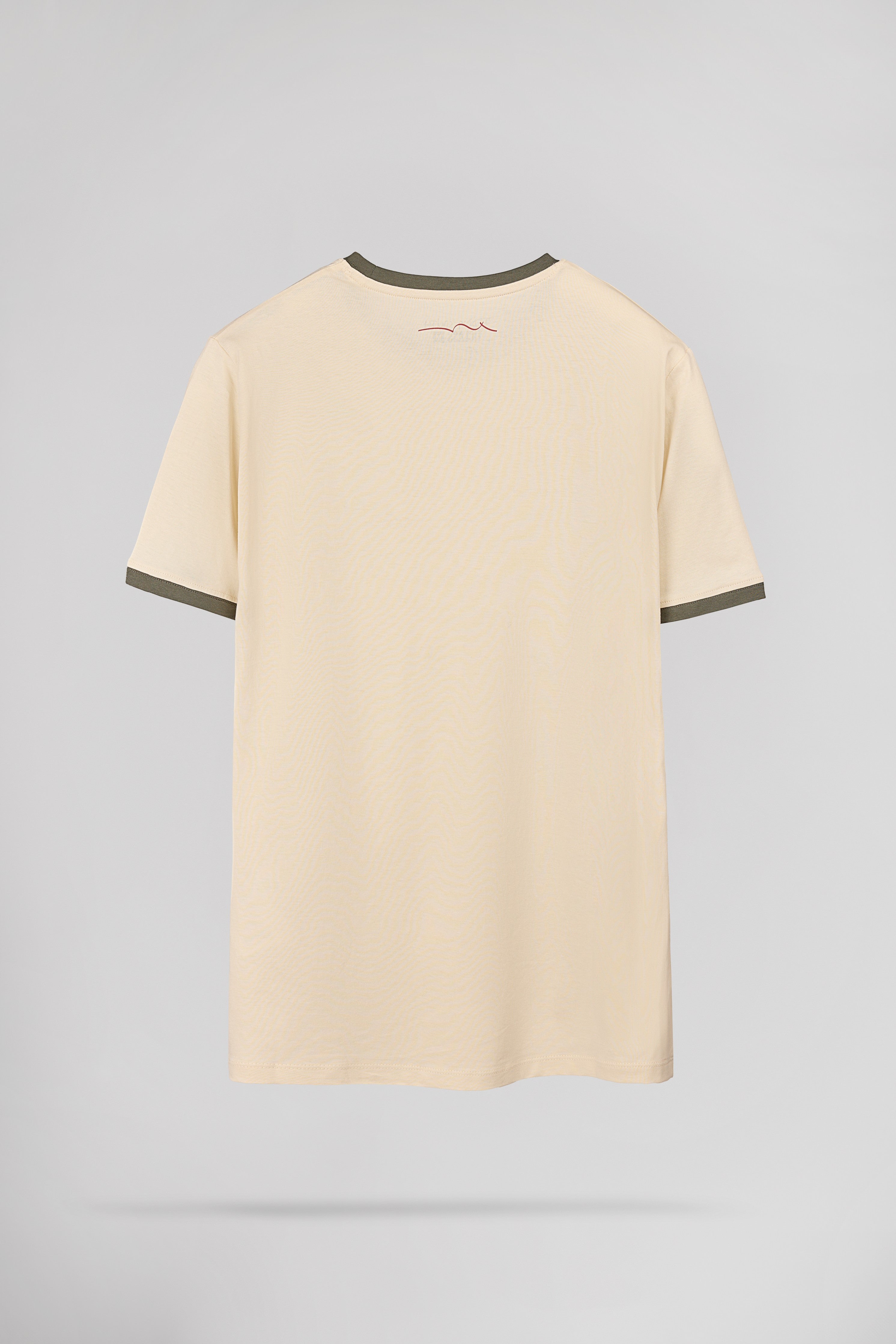 Teddy Smith Ticlass T-shirt col rond homme naturel coupe classique