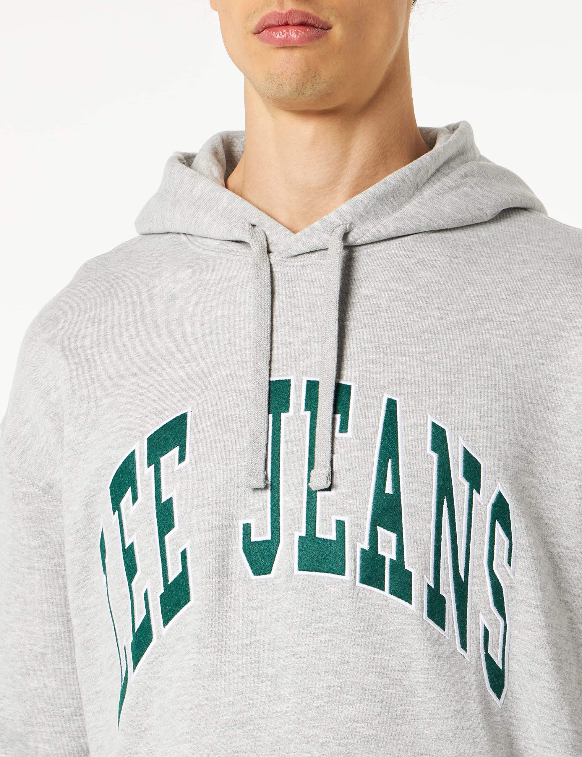 Lee Seasonal hoodie sweat à capuche homme gris L