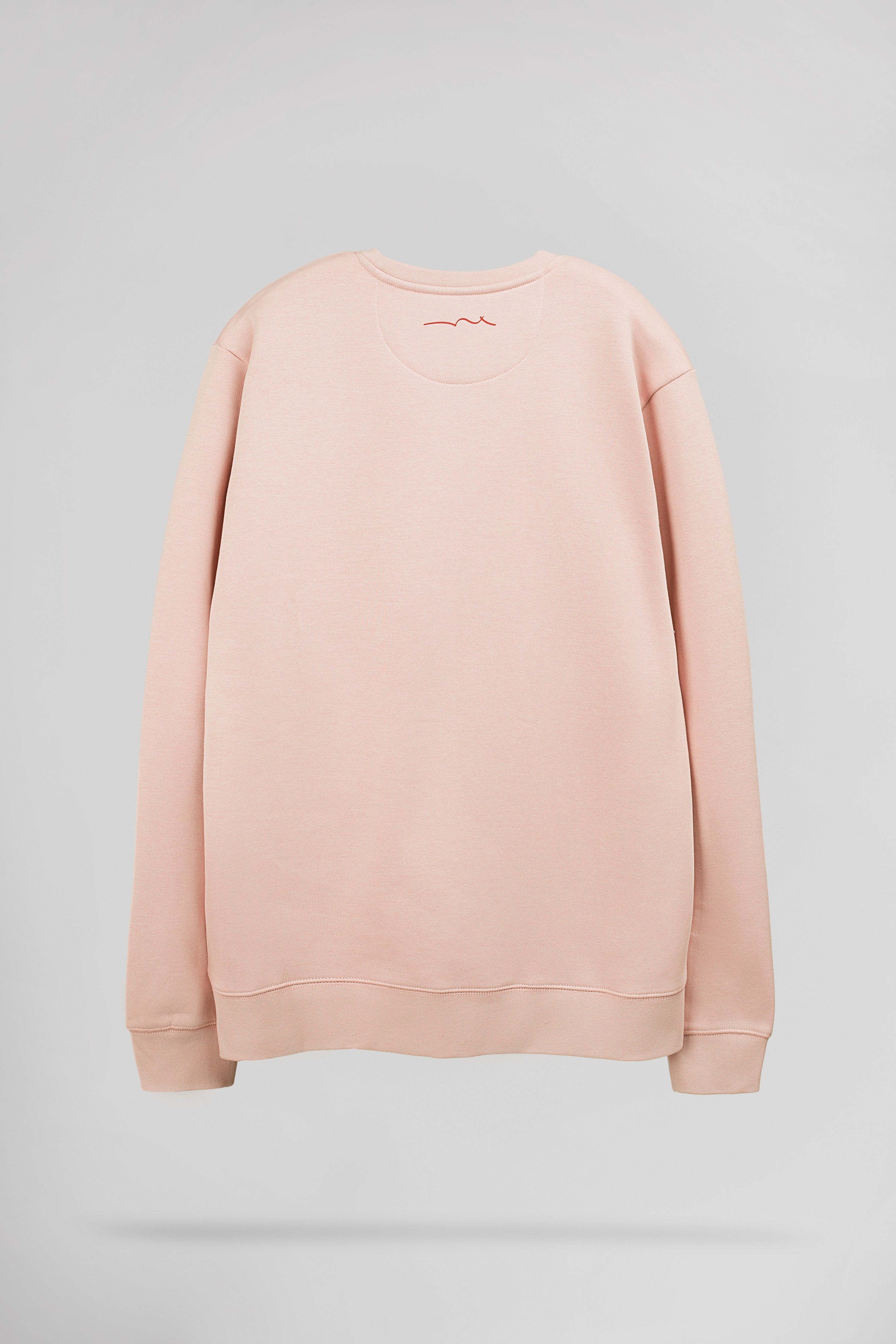 Teddy Smith S-Jim RC sweat rose pastel coton gratté