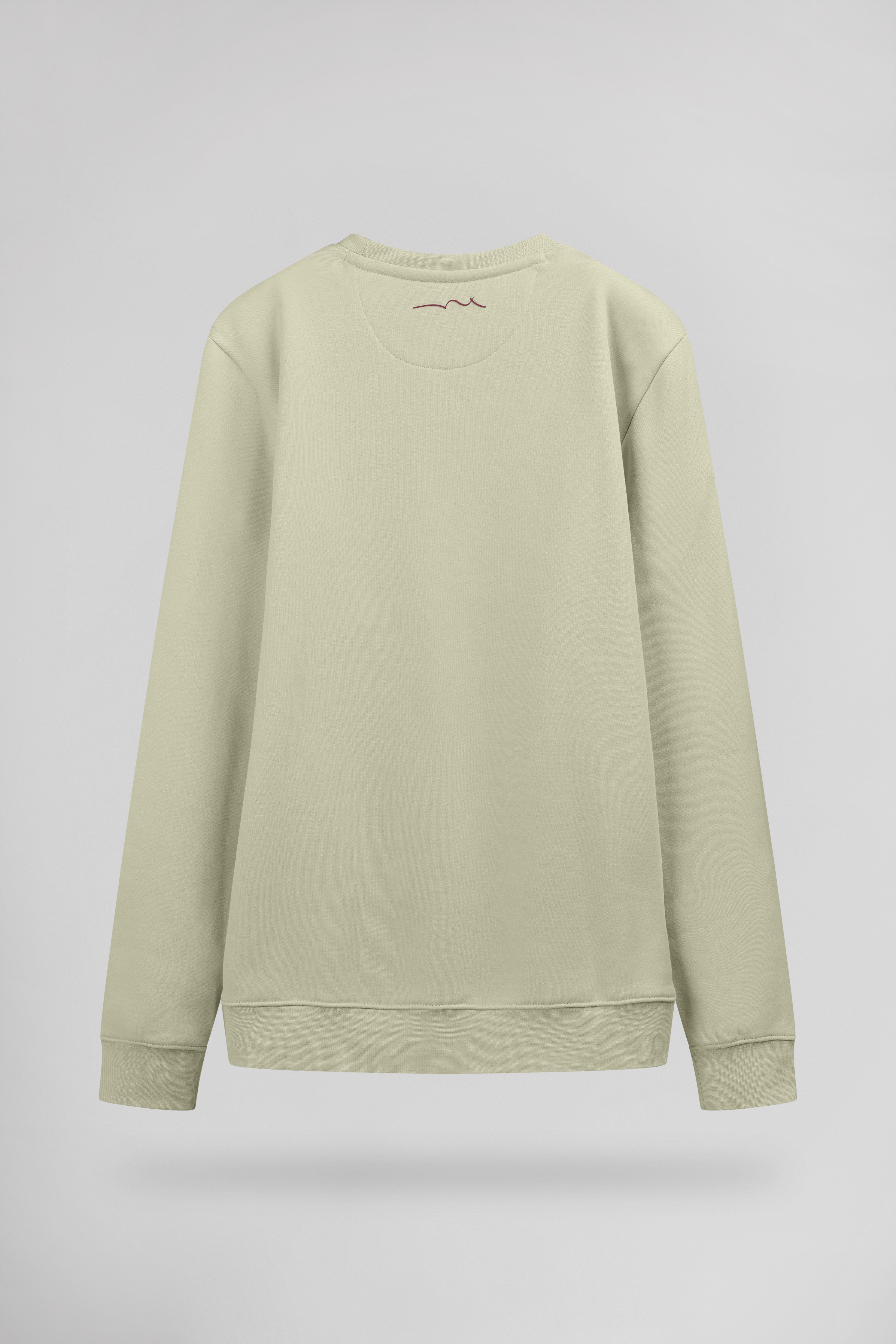 Teddy Smith S-Nark RC sweat col rond vert sauge