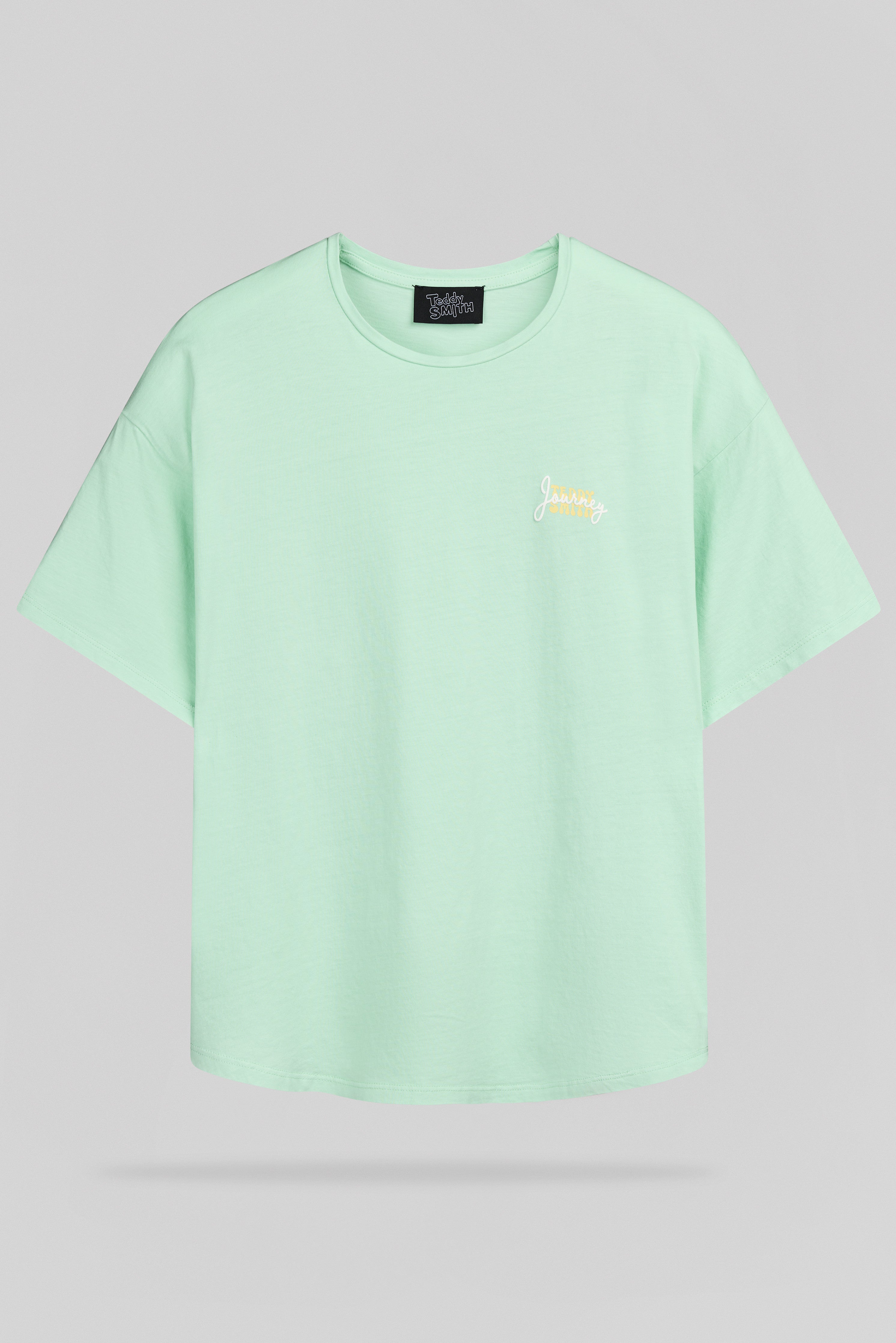 Teddy Smith T-Ally MC t-shirt vert menthe délavé