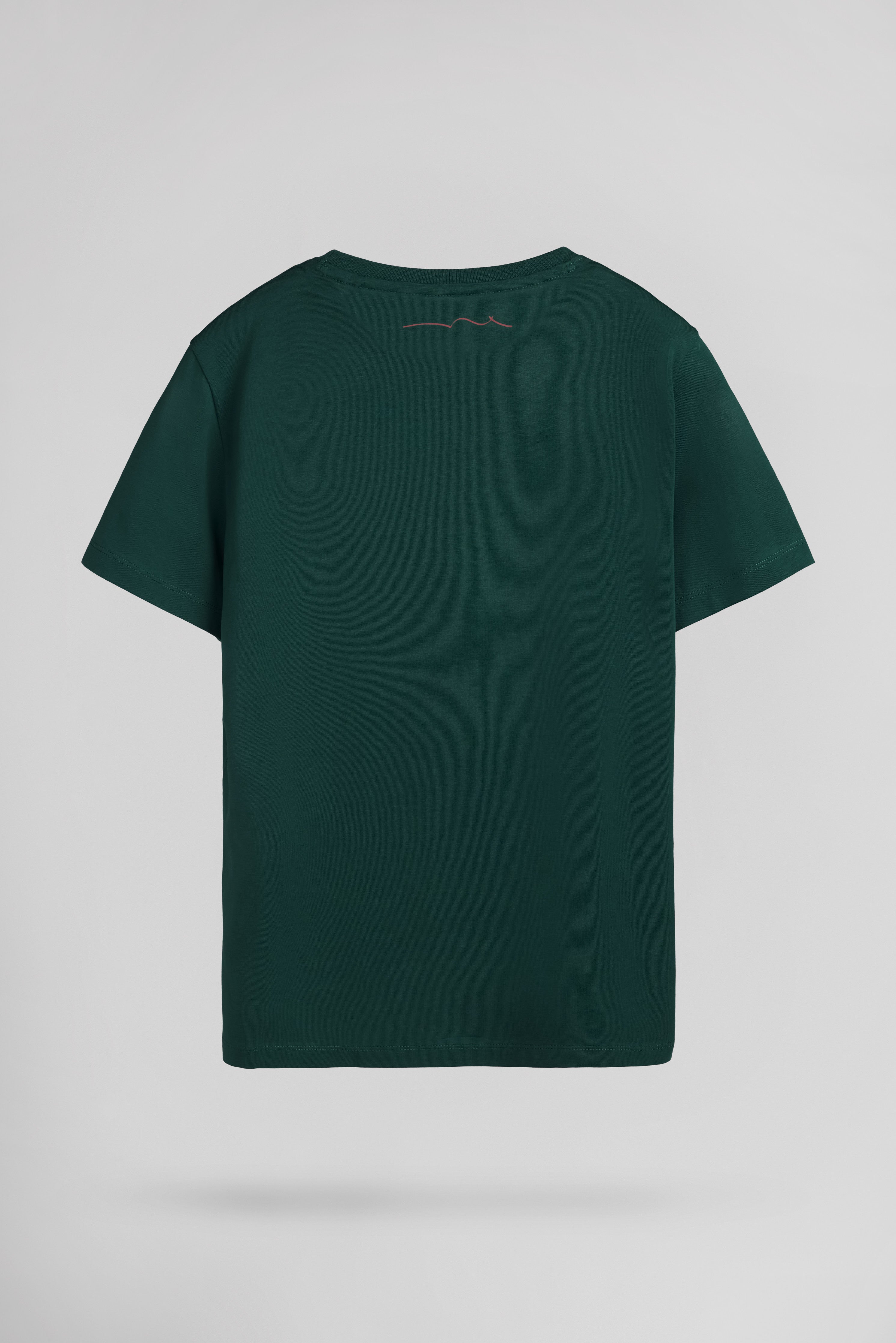 Teddy Smith T-Evan MC Jr t-shirt garçon vert pin coton