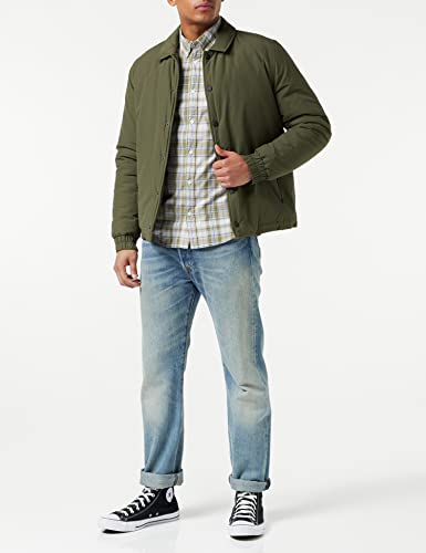 Lee Bouton Down t-shirt homme ammonite