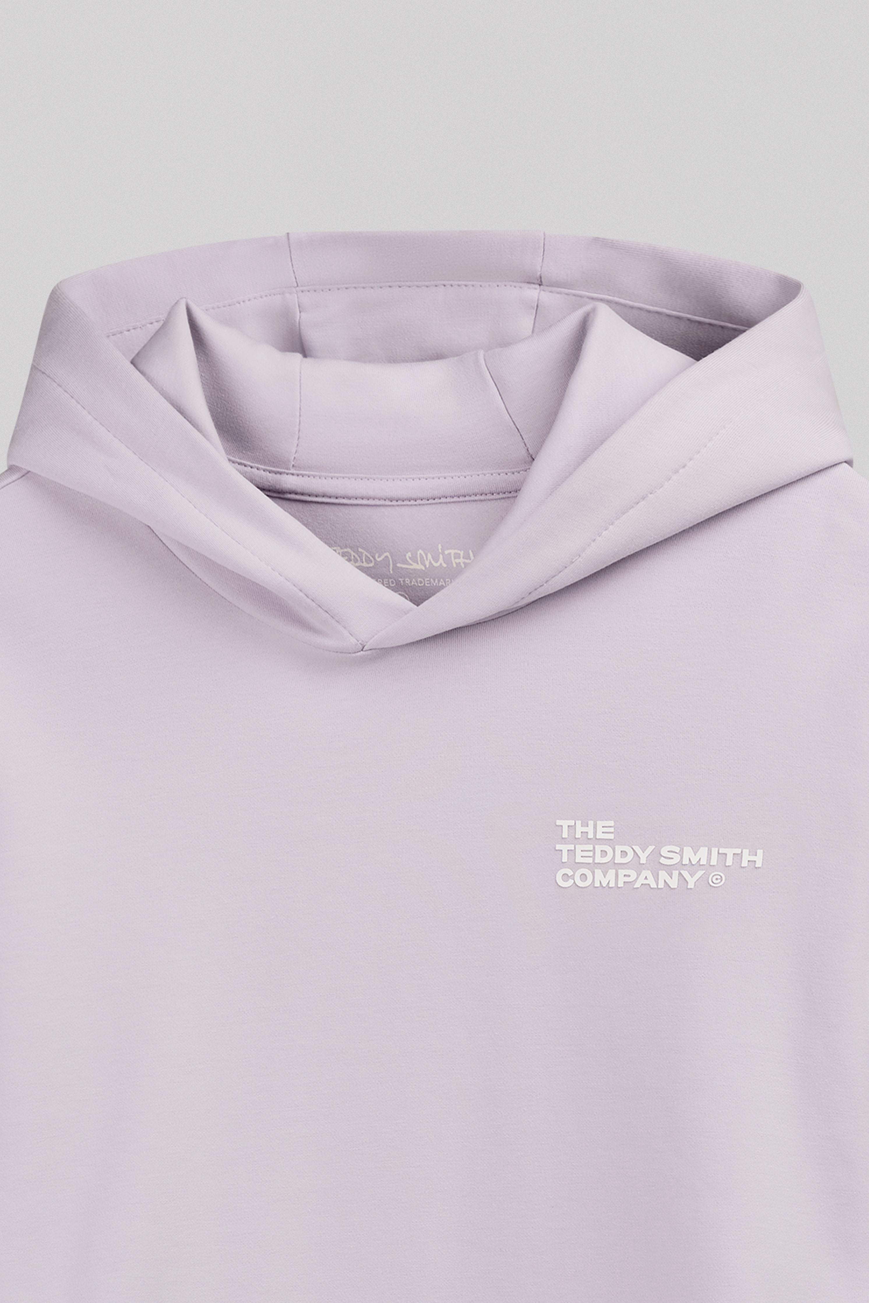 Teddy Smith Company sweat capuche lavande garçon