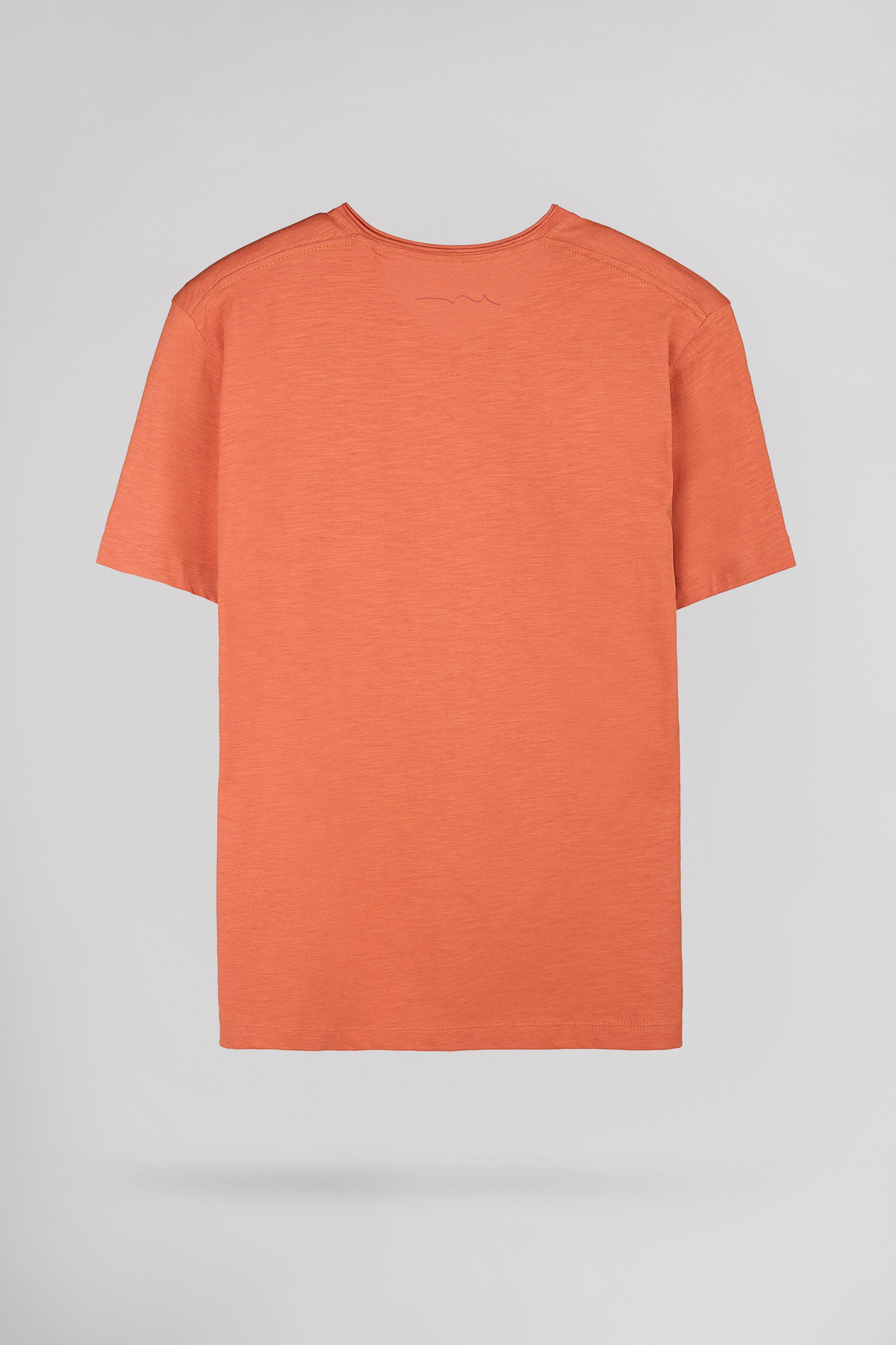 Teddy Smith T-Gildas MC t-shirt col V rouge léger