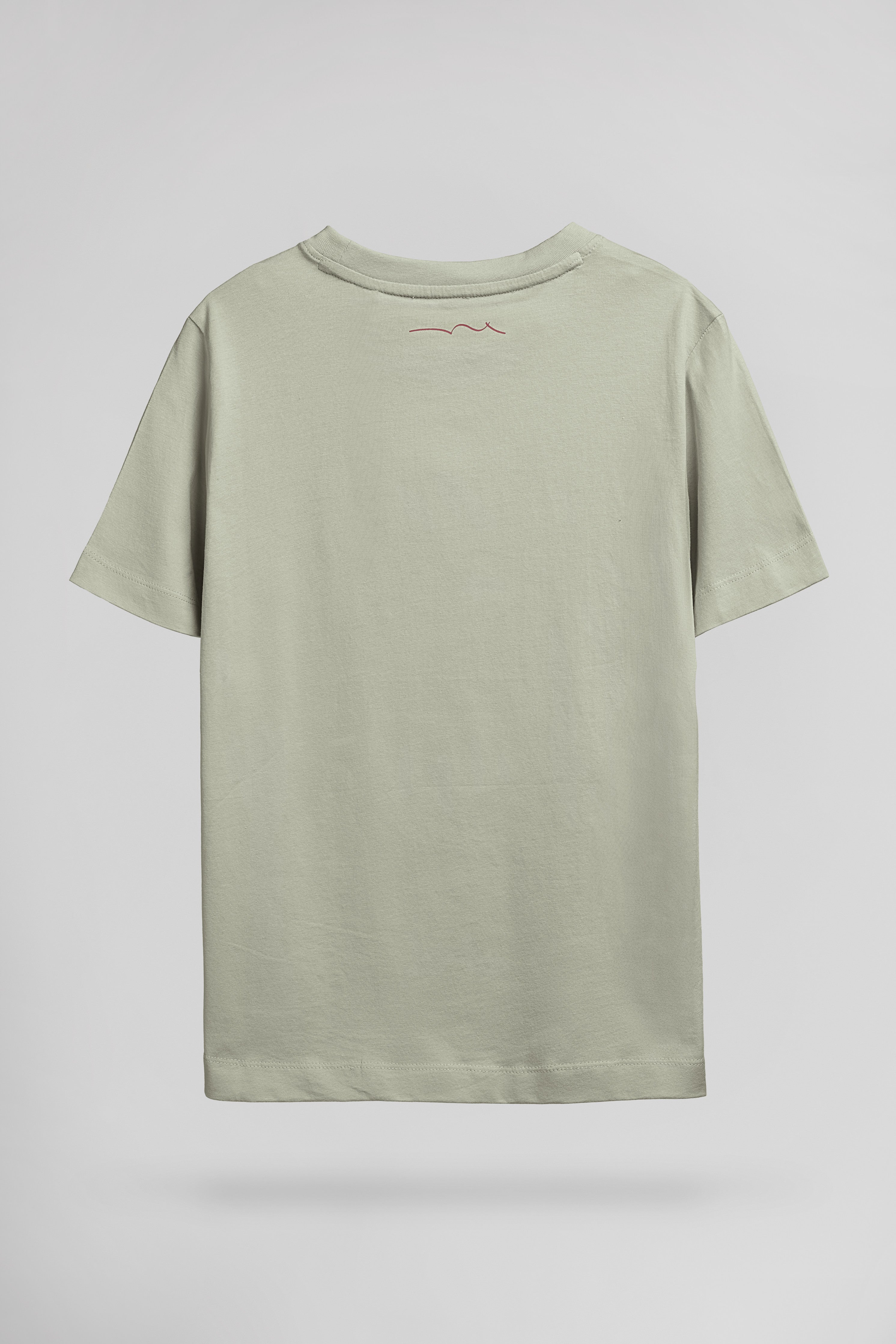 Teddy Smith T-Jim MC JR t-shirt vert sauge coton